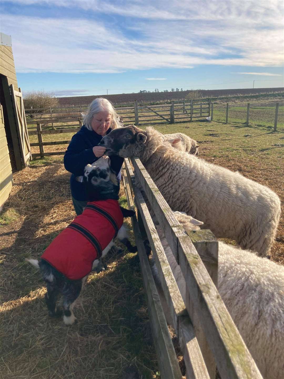 Linda with a few of her beloved animals.