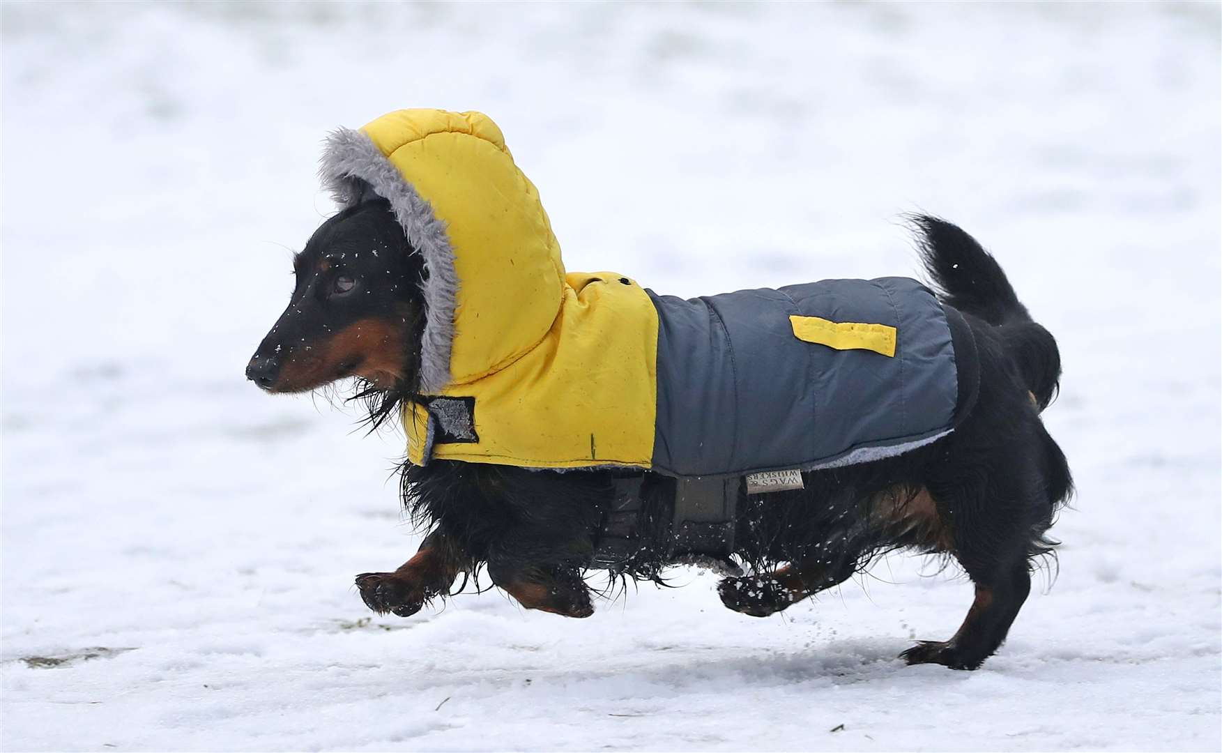 Dressed for the elements in Queen’s Park (Andrew Milligan/PA)