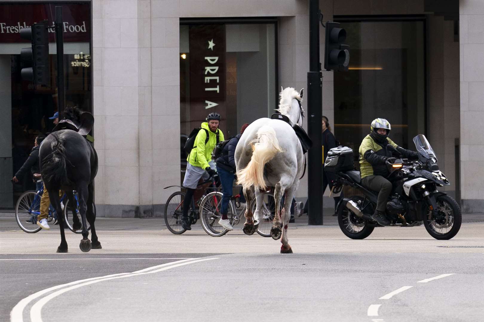 Two horses on the loose bolt through the streets of London near Aldwych (Jordan Pettitt/PA)