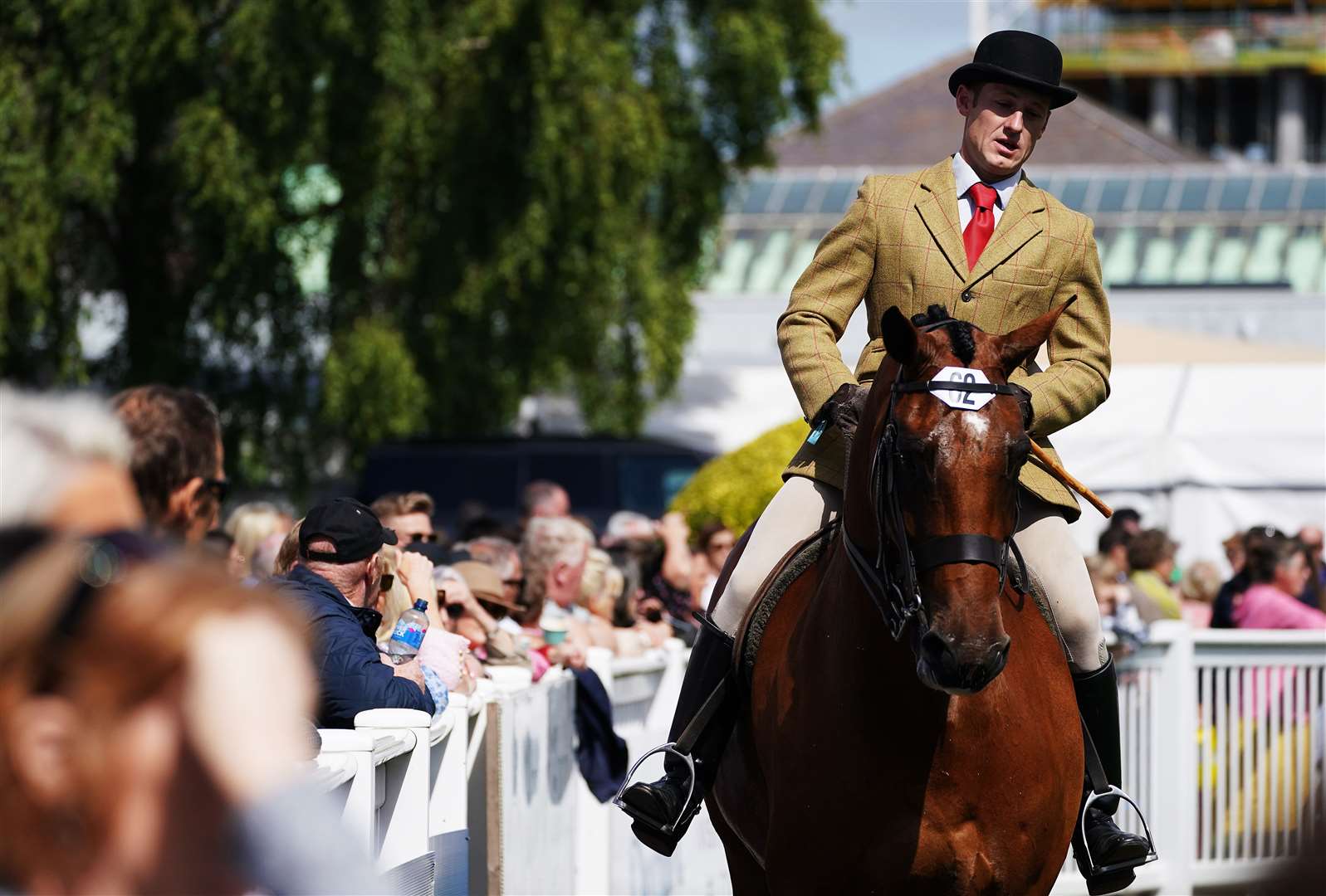 A horse and rider compete on day three of the 147th Dublin Horse Show, the first to be held since 2019 (Brian Lawless/PA)