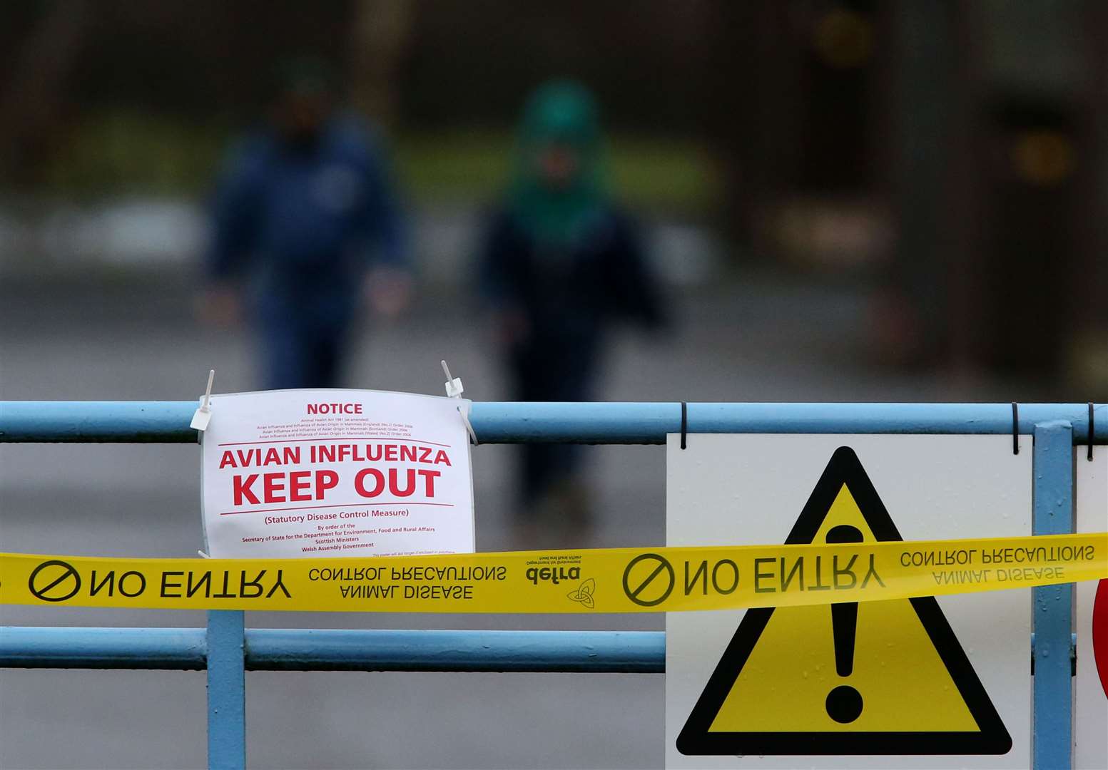 Biosecurity measures to reduce the transmission of bird flu will remain in force in England, Scotland and Wales until further notice (Andrew Milligan/PA)
