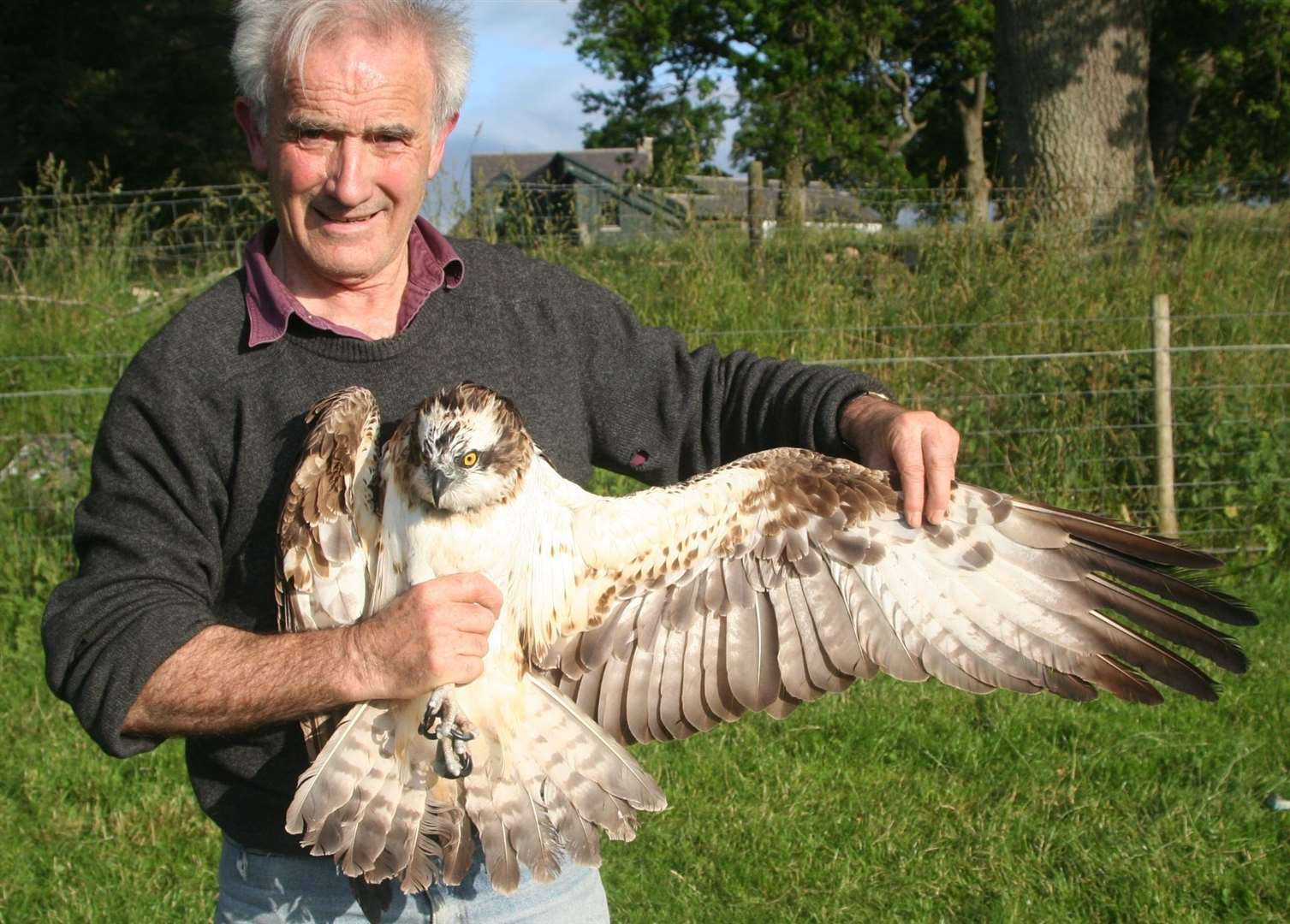Roy with an osprey.