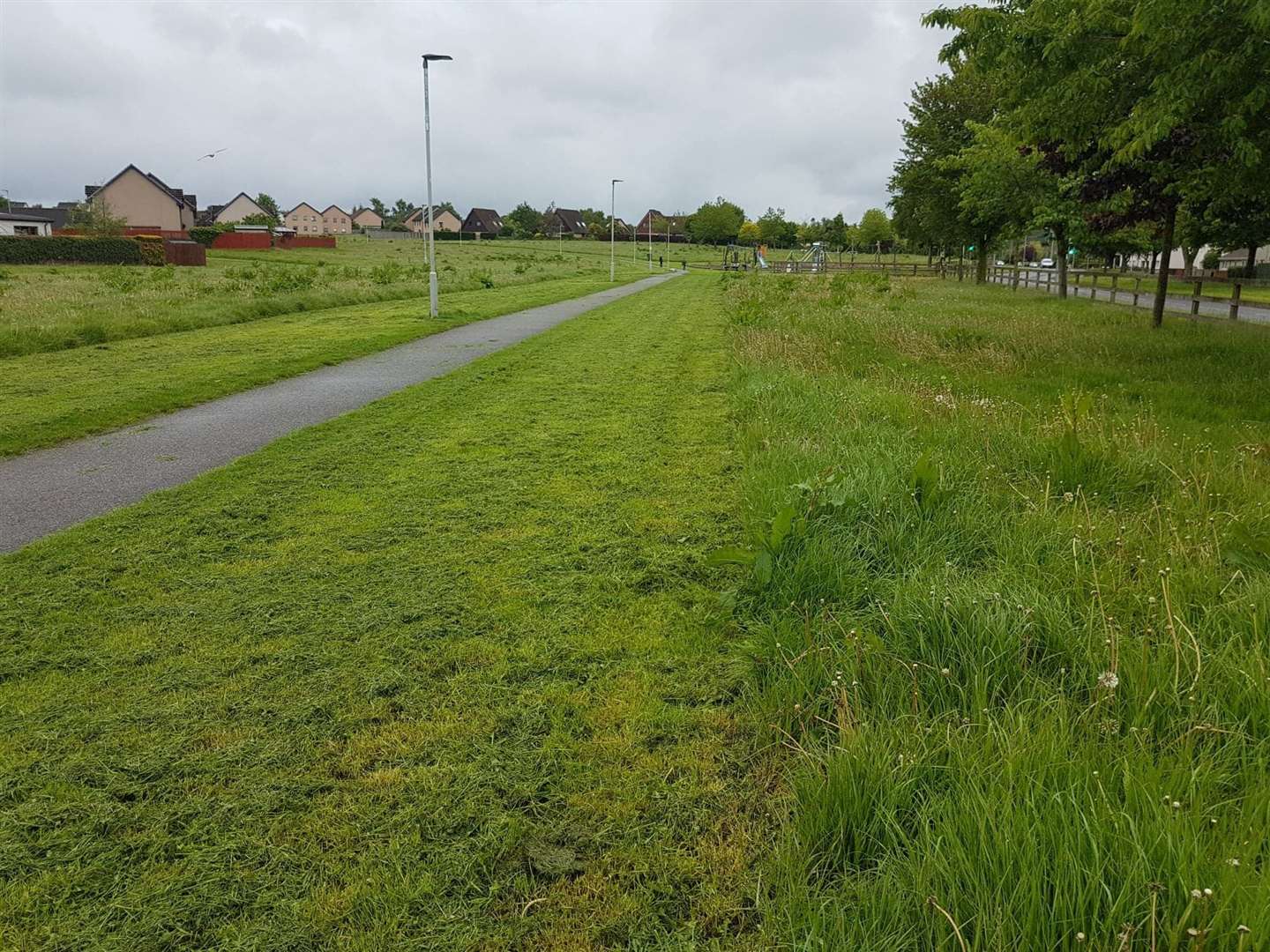 Council workers cut the grass at Mannachie park recently.