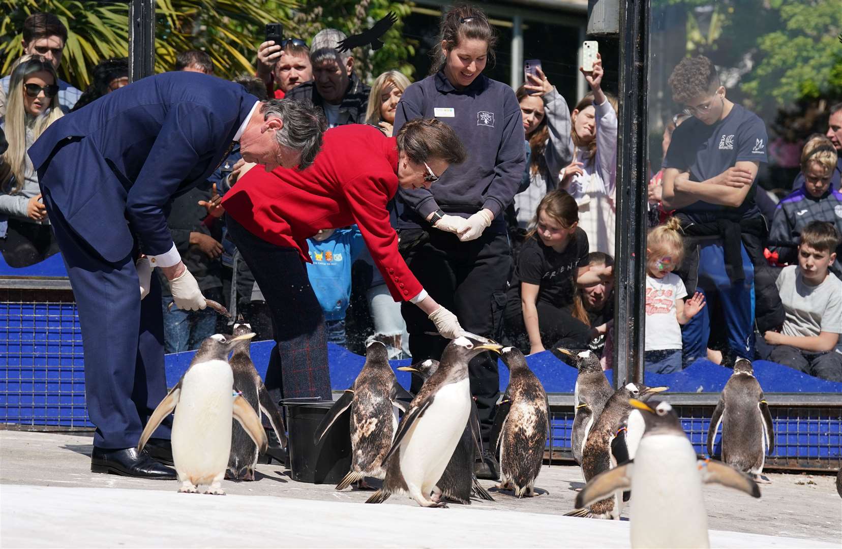The Princess Royal, accompanied by Vice Admiral Sir Tim Laurence as they feed penguins Edinburgh Zoo (Andrew Milligan/PA)