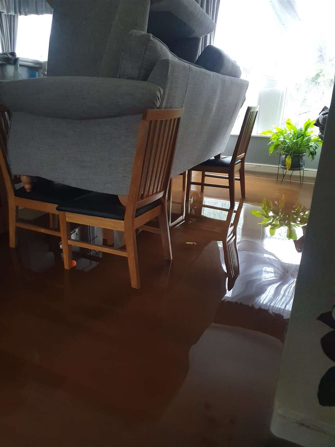 The family placed the sofa on four dining room chairs to keep it safe from the water (Nicola Thorogood)