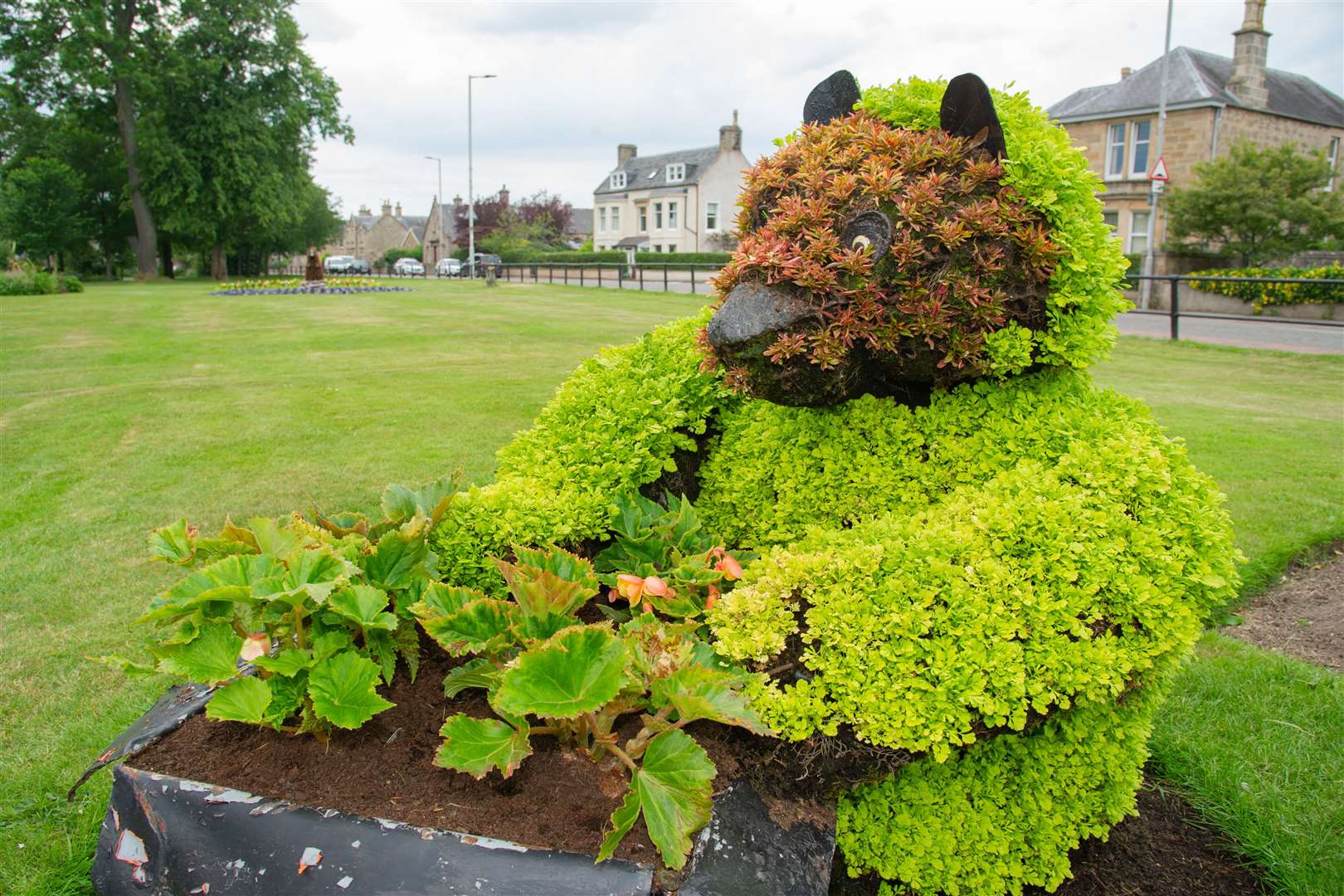 Life imitating art? A teddy bear preparing a flower bed