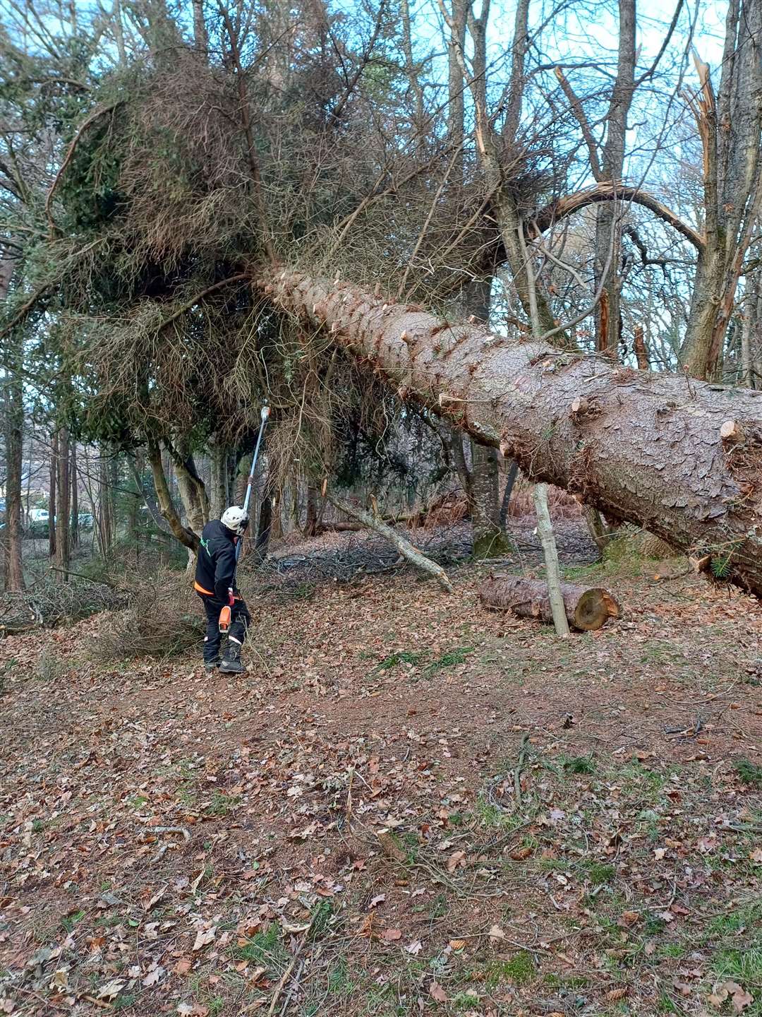 A tree surgeon deals with one of the fallen trees.