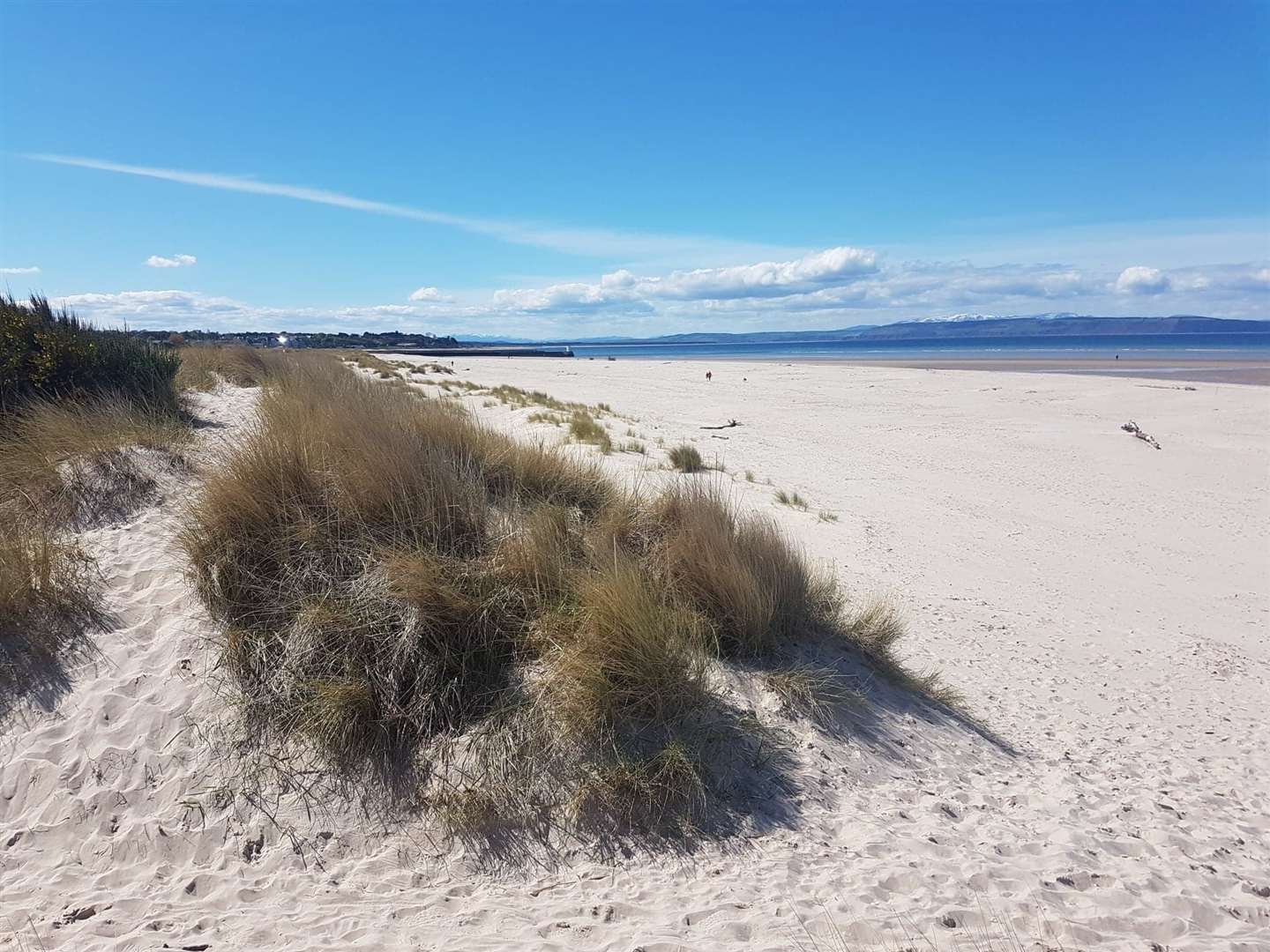 Sand dunes at the King’s Steps end of Nairn beach.