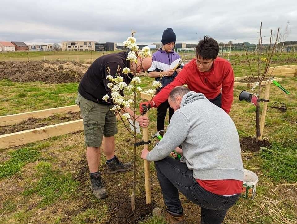 Volunteers get to work at one of the community orchards supported by Scotmid.