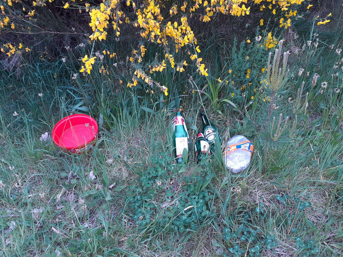 Some of the rubbish found by Dorothy on her daily walks around the local area.