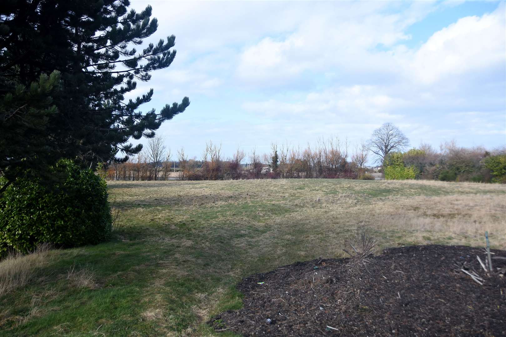 Bogton Park, Forres proposed site of tree planting...Picture: Becky Saunderson..