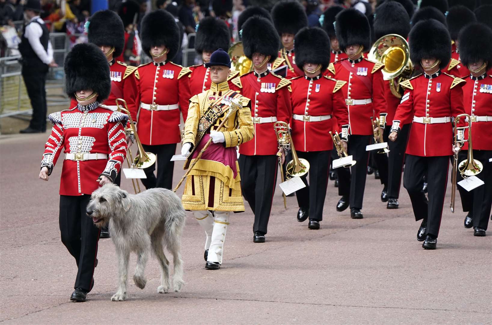 Seamus leads the troops down The Mall (Andrew Matthews/PA)