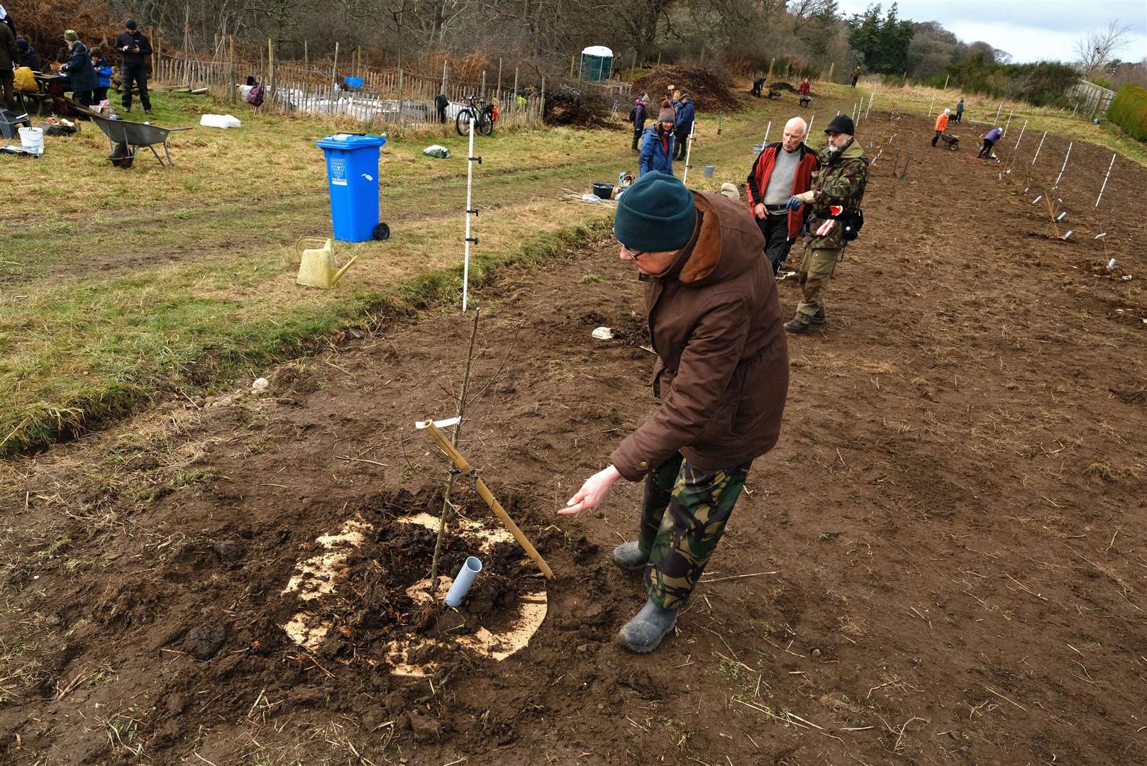 Approximately 40 trees for the orchard were planted during the day, many donated by Findhorn Bay Arts through the Dandelion Unexpected Gardens growing project.