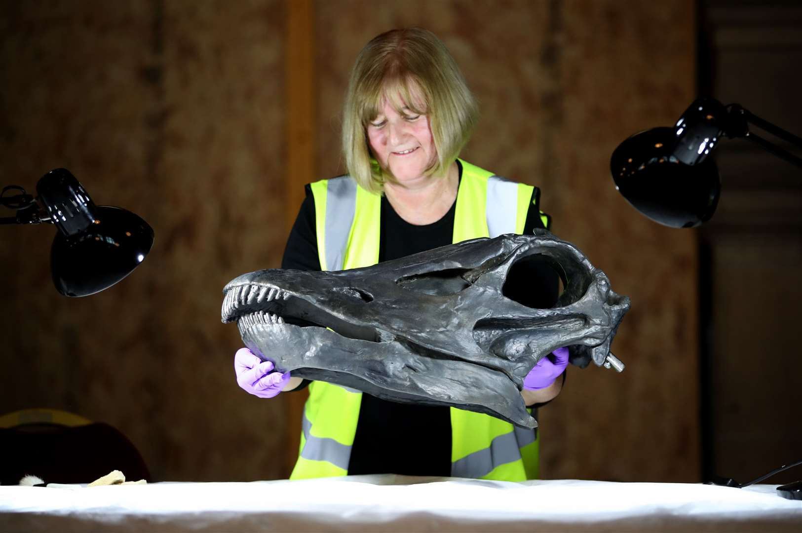 Dippy’s skull during a recent cleaning (Jane Barlow/PA)