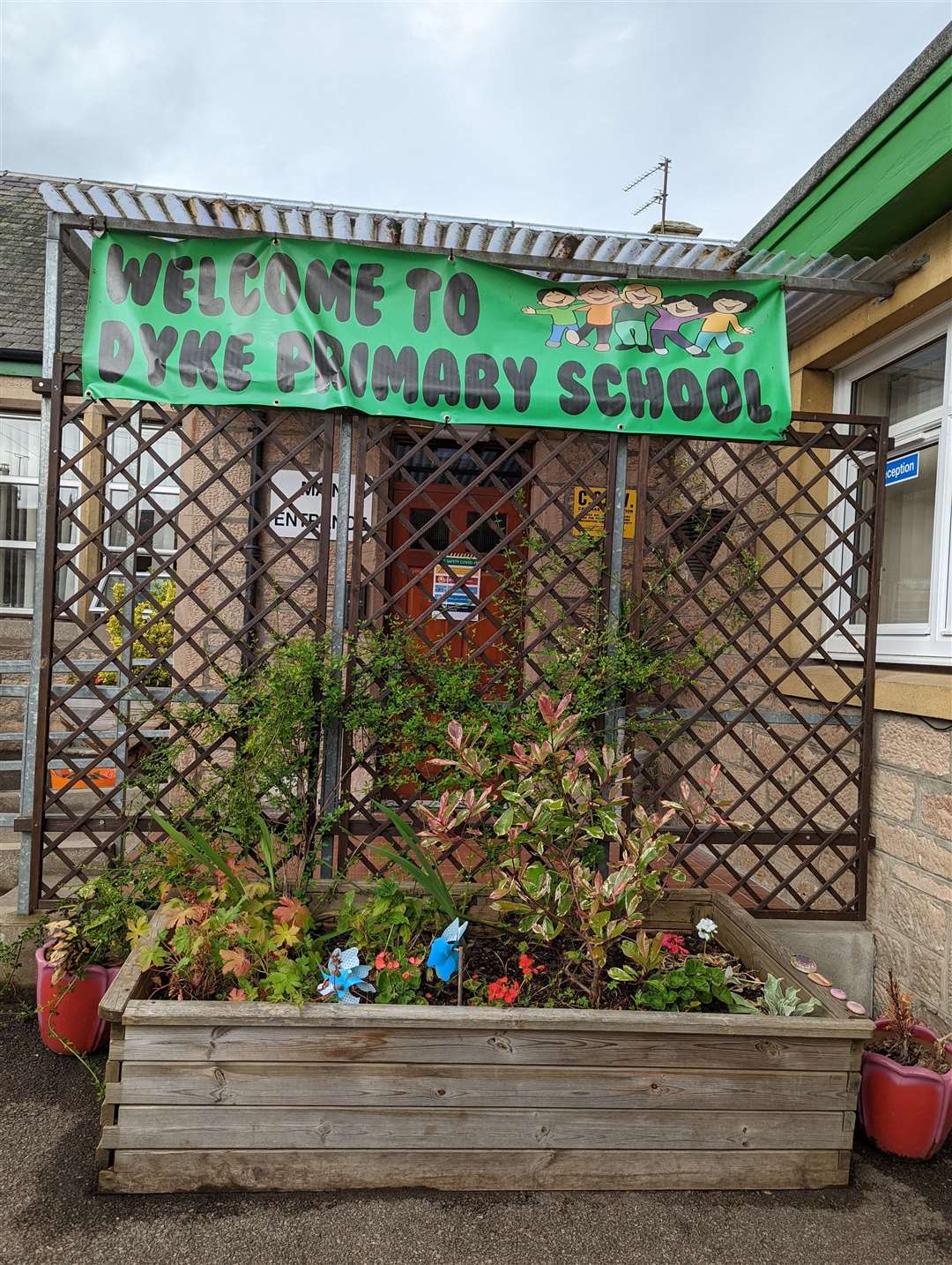 One of the growing tubs at Dyke Primary that is thriving under the community’s care.