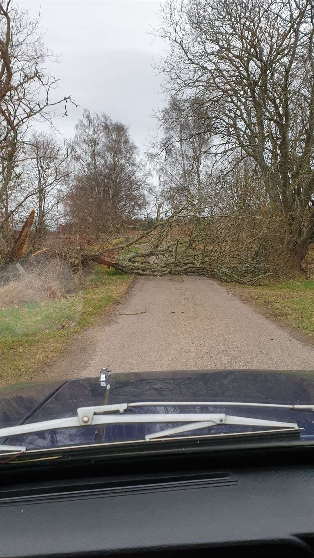 Another obstruction on the back road near Darnaway. Picture by Pam Watson