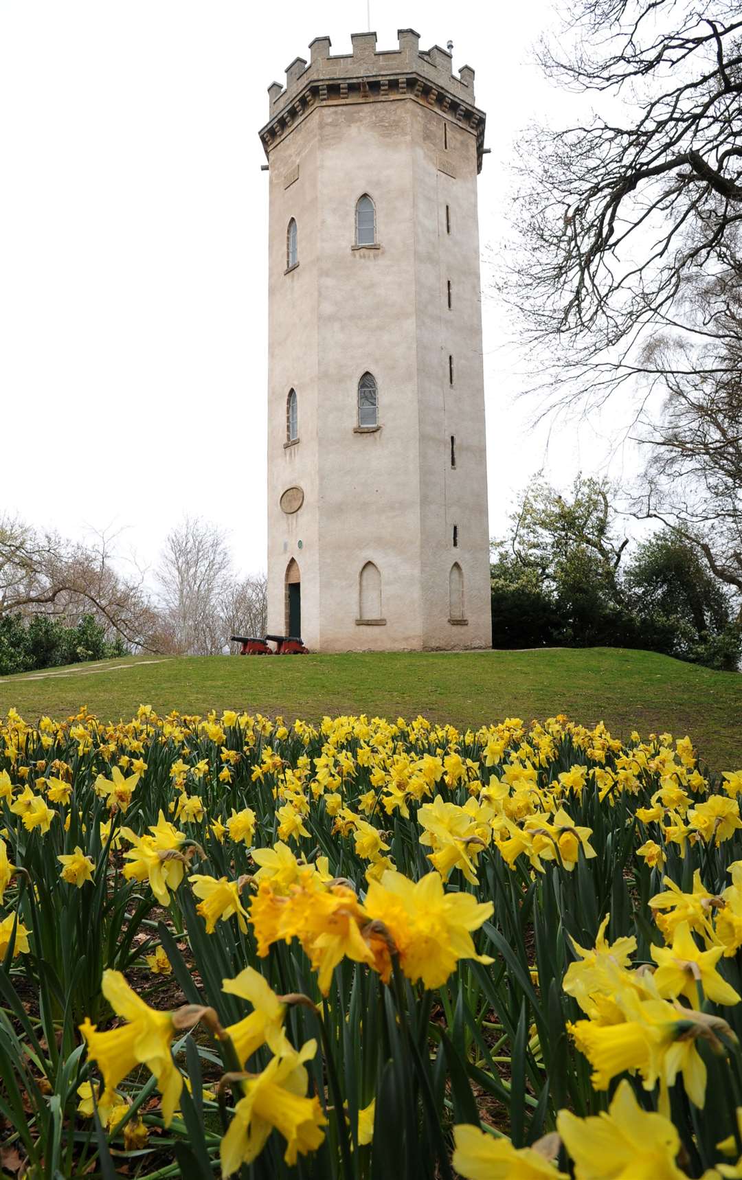 Nelson Tower Forres.Picture: Eric Cormack. Image No.043704.