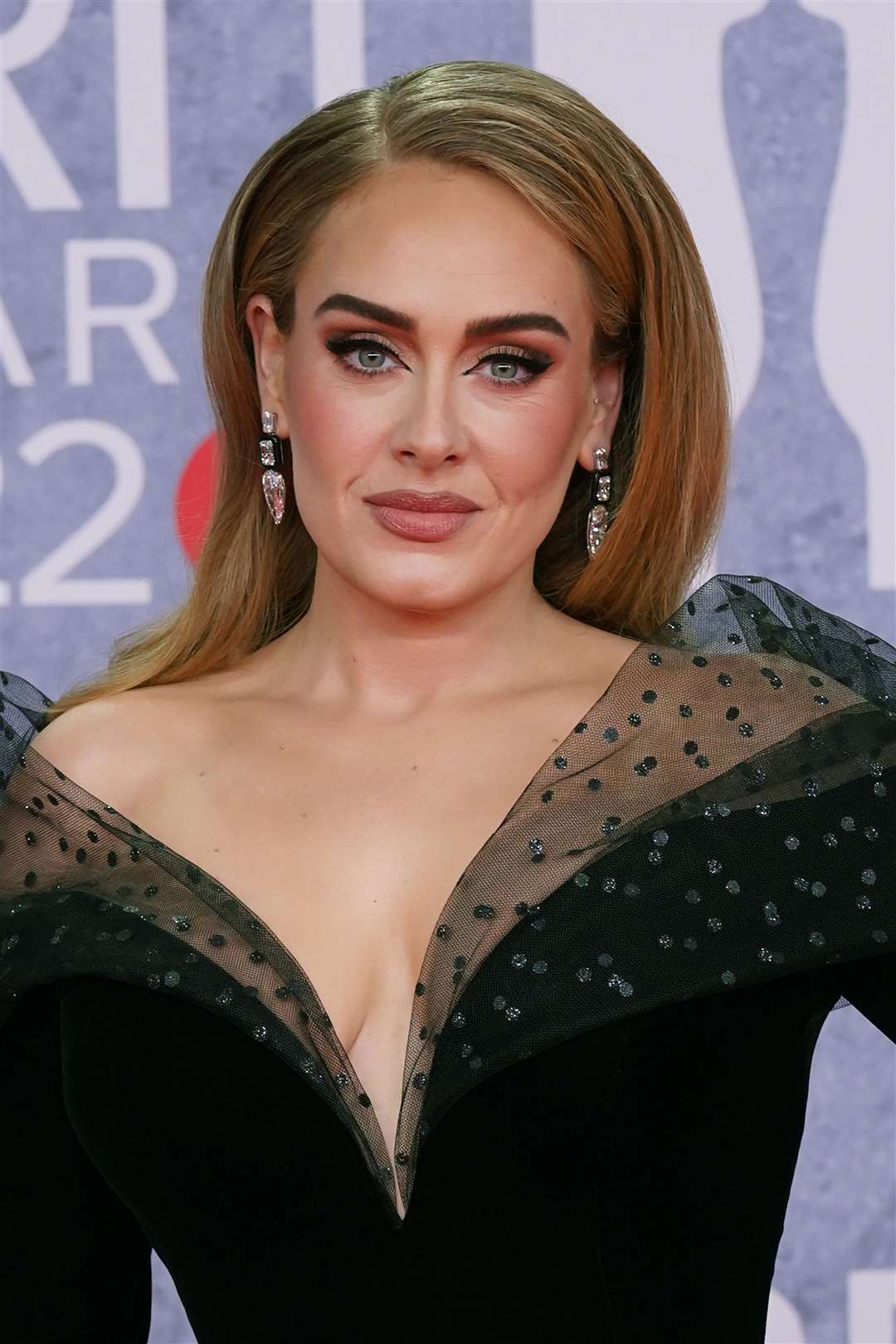 Adele is one of the successful former students of the Brit School in Croydon (PA)