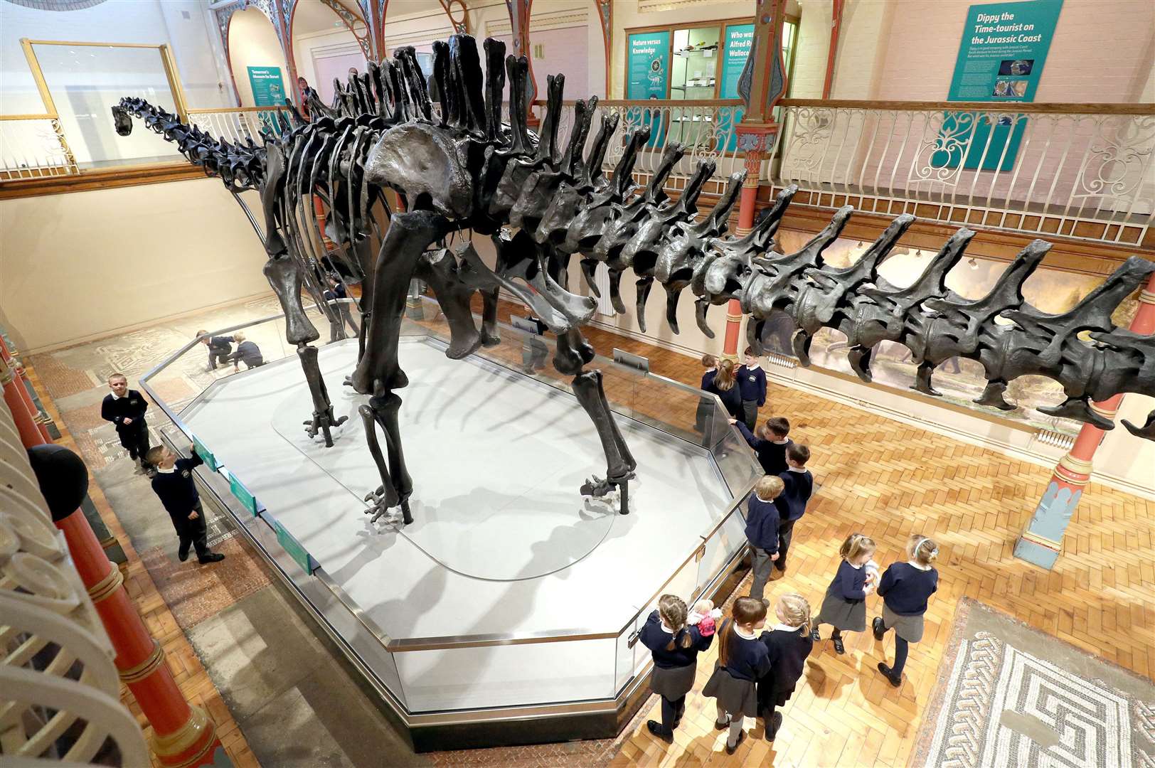Dippy in Dorchester, during the replica’s UK tour (Andrew Matthews/PA)