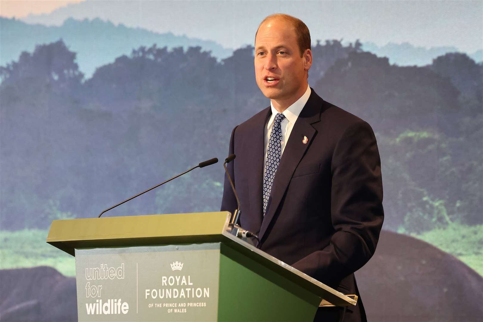 The Prince of Wales speaking at the United for Wildlife Global Summit (Chris Jackson/PA)