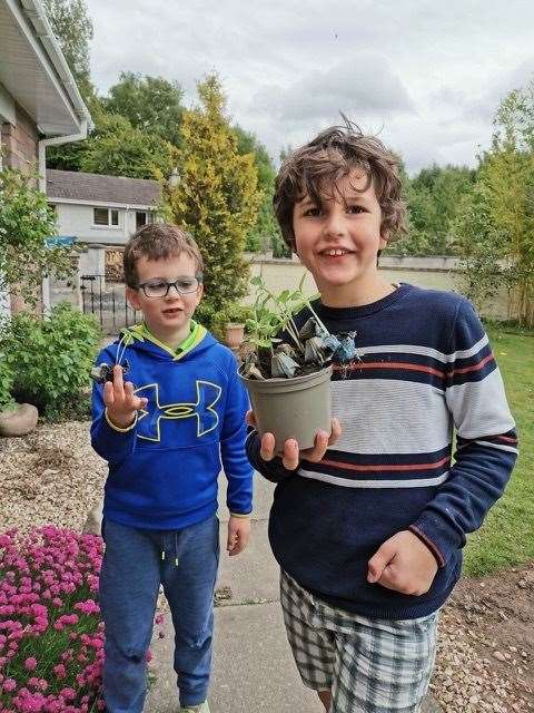 Gregory and Austin Davis gave plants to neighbours.