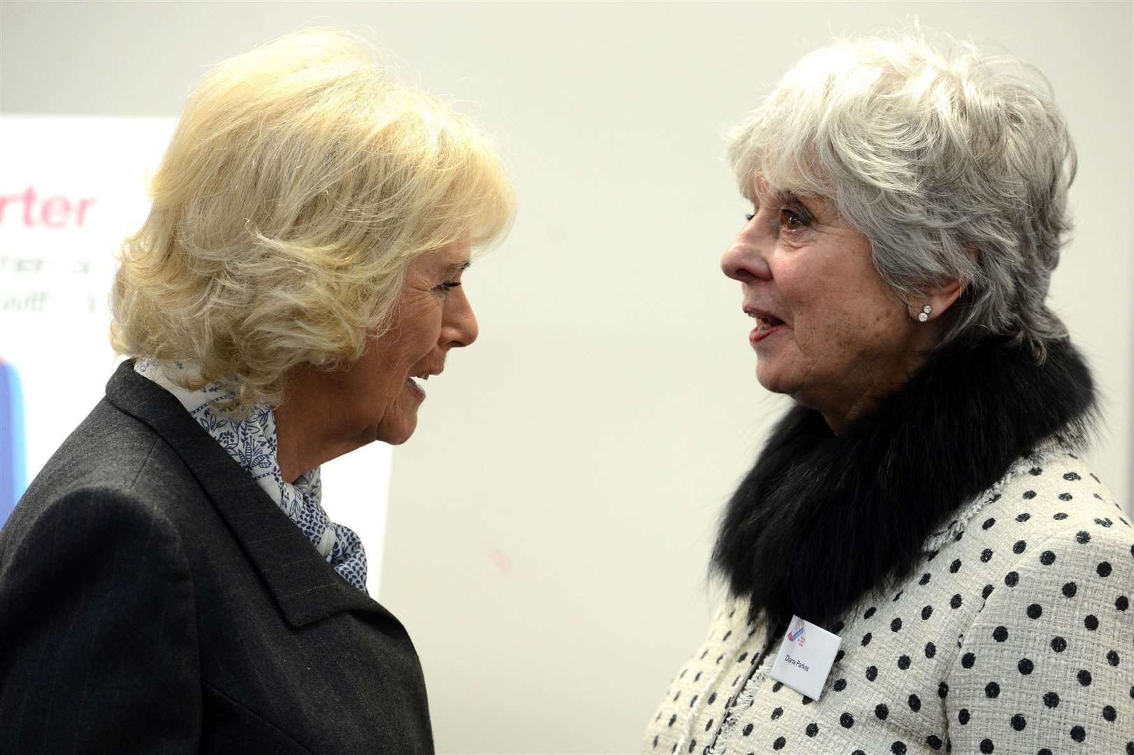 The Duchess of Cornwall talking to Diana Parkes during a visit to the national charity SafeLives in 2016 (PA)