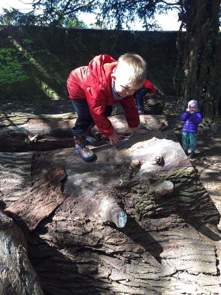 There's lots to explore during Earthtime Forest School Nursery.
