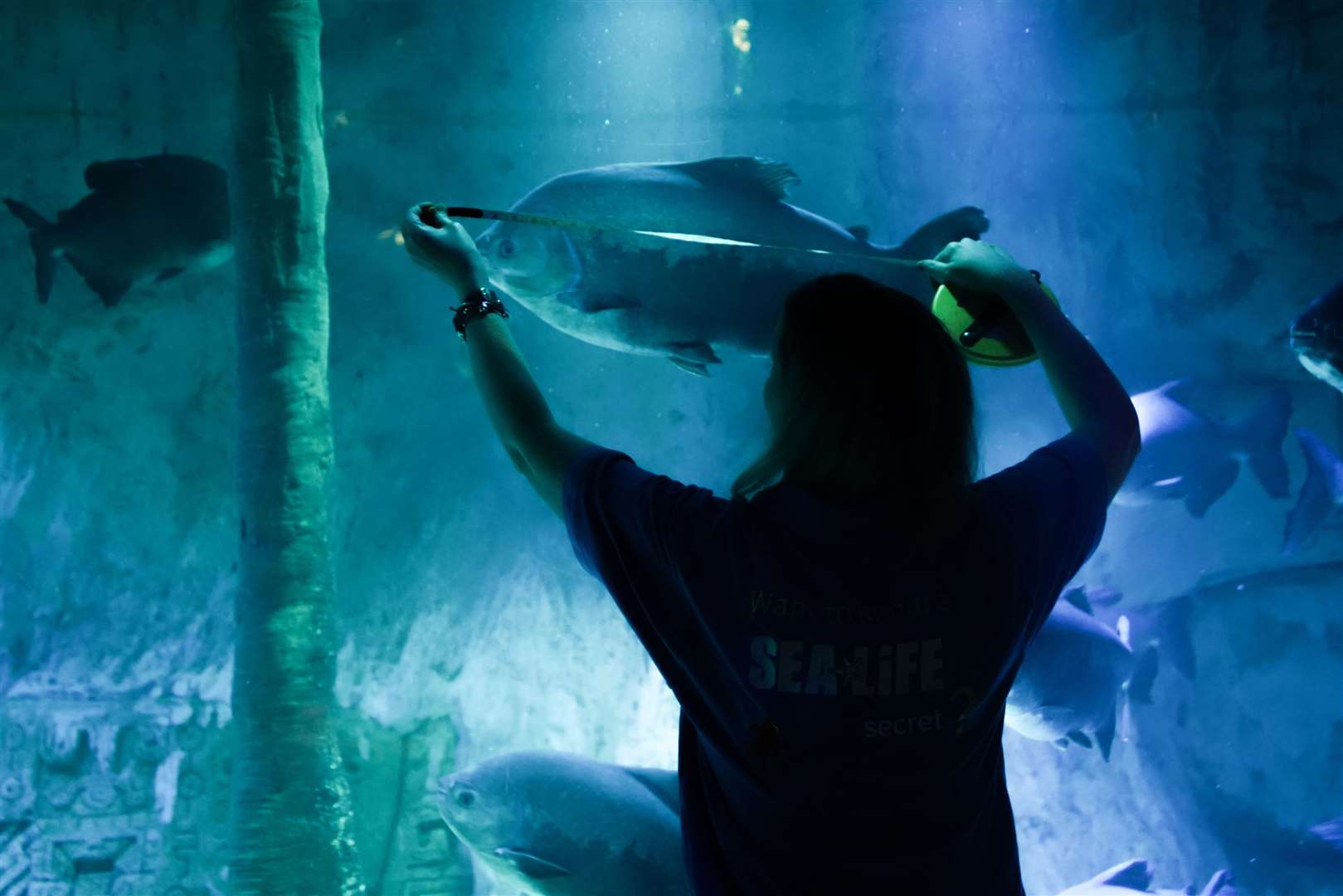 Aquarists during the annual ‘count and clean’ at the London attraction (James Manning/PA)