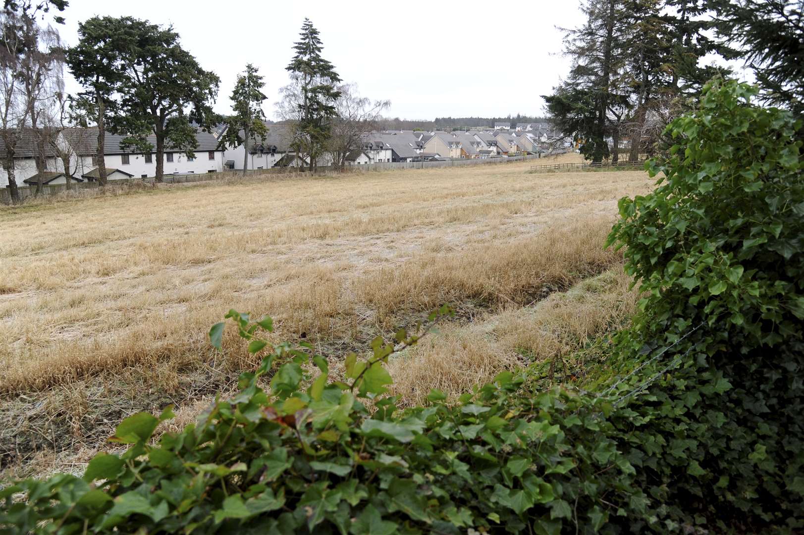 Tulloch Homes have planning permission to build in fields around the Knockomie Hotel.