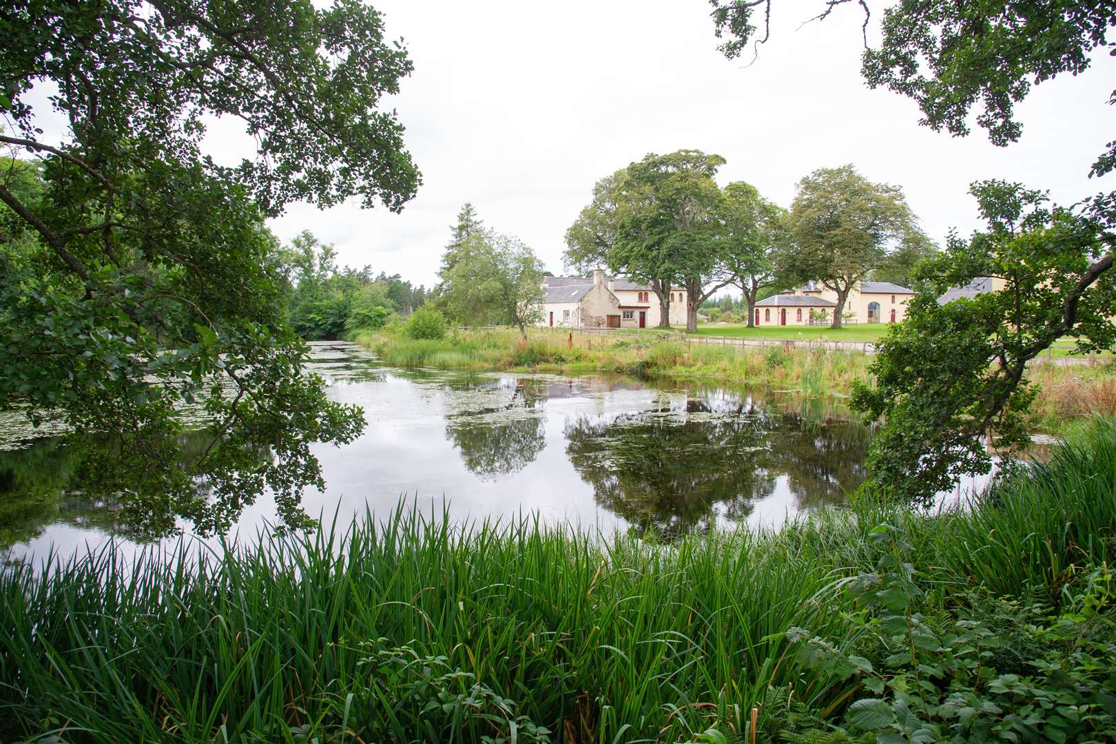 A nearby established water feature on the Altyre Estate.
