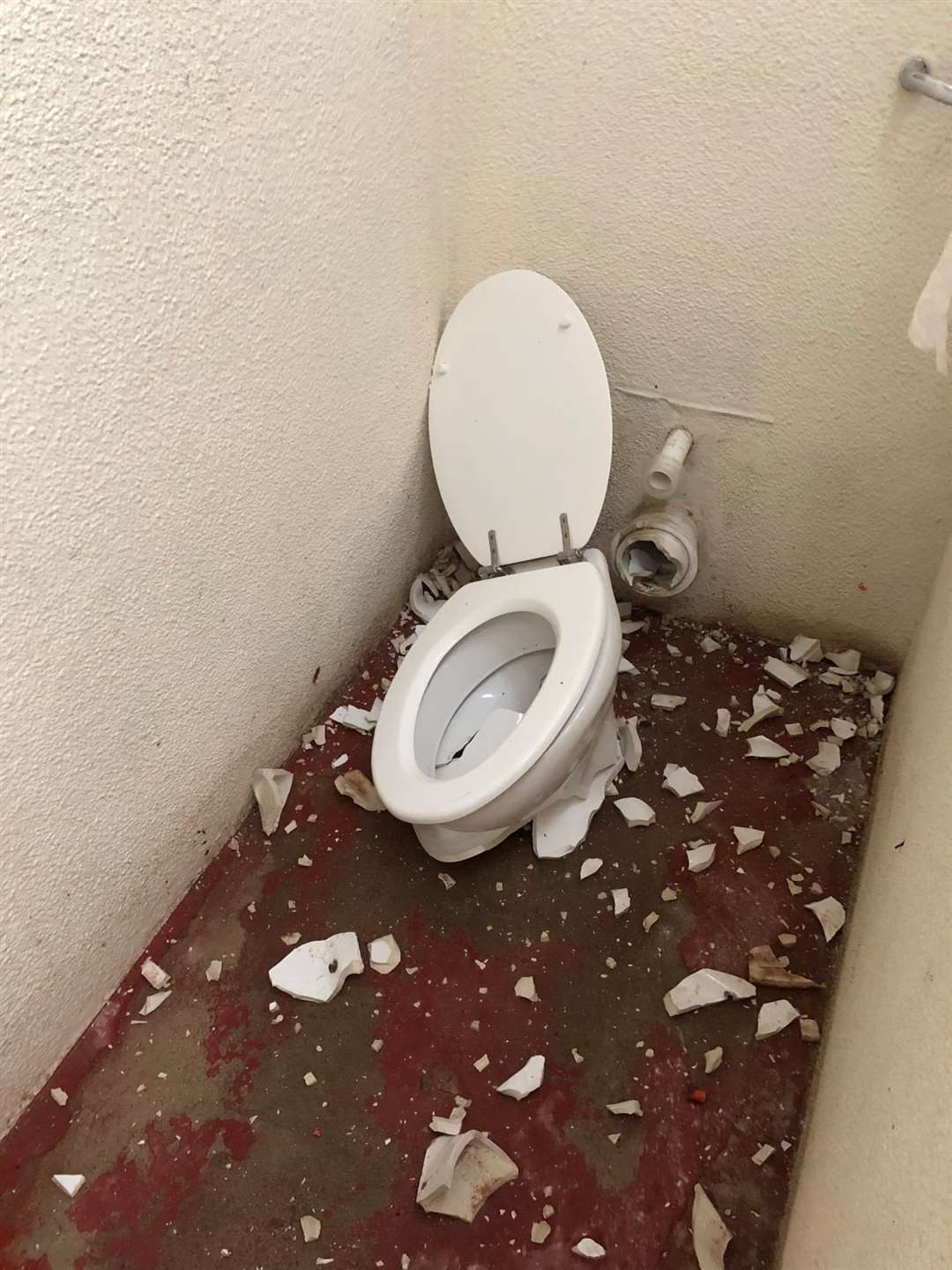 This toilet was smashed overnight on Friday.