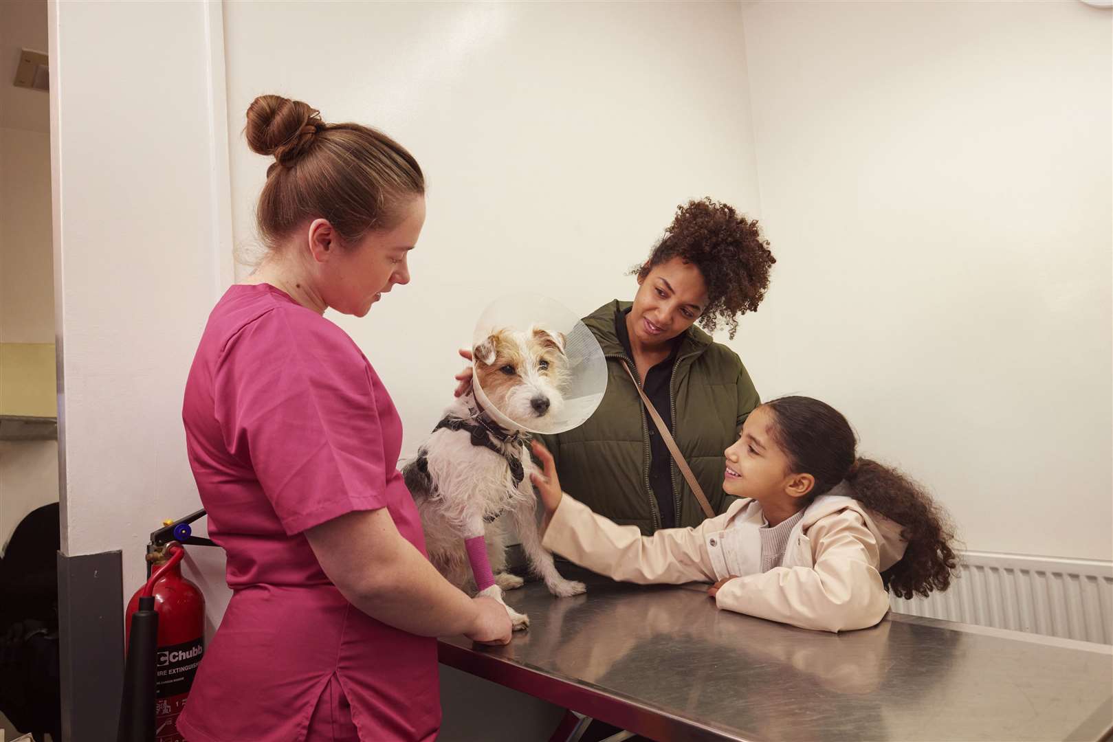 The PDSA treated almost 400,000 animals last year.