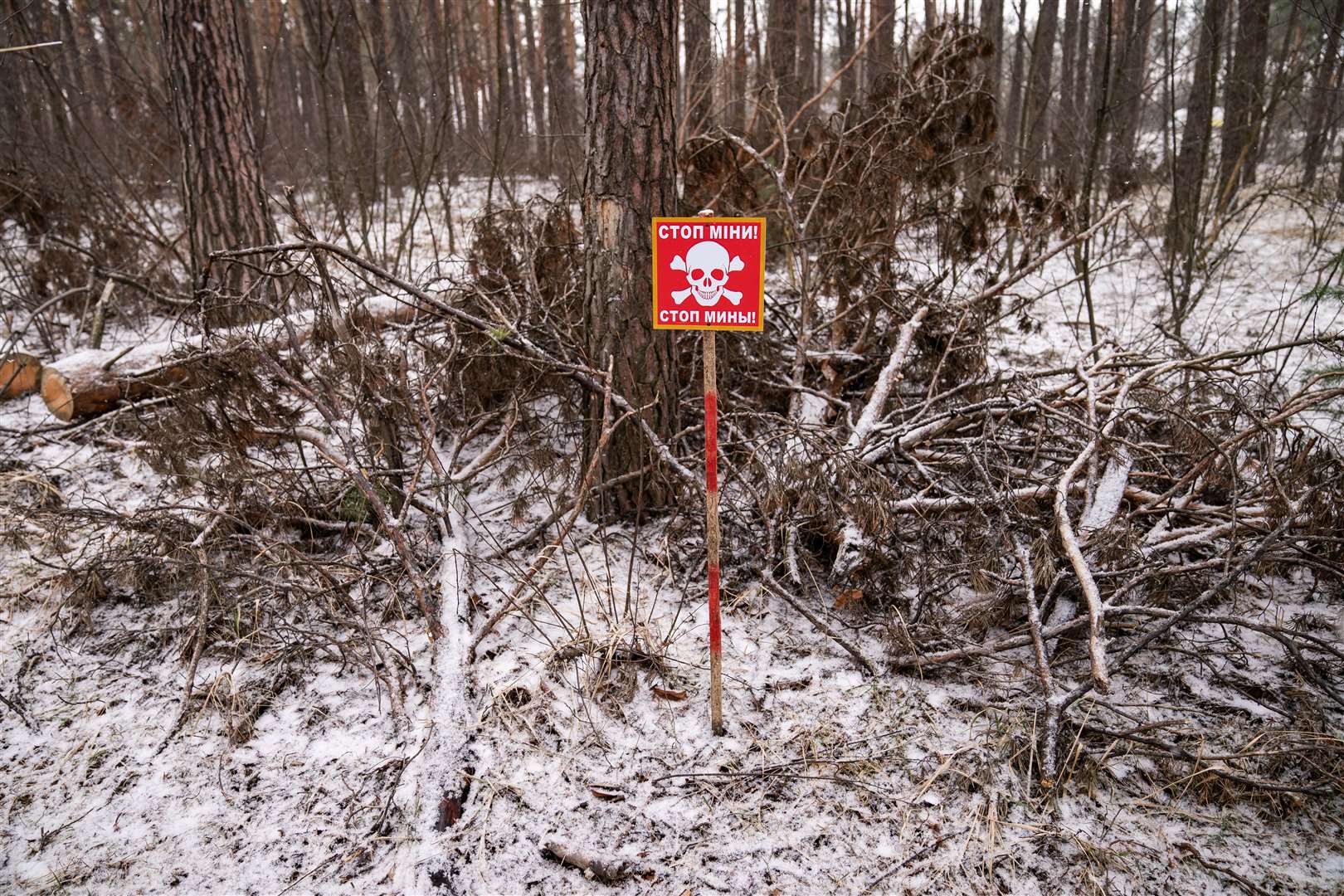 Land mine boundary markers in Berezivka where the Halo Trust will be surveying and clearing of potential hazardous mines and contaminated materials (Aaron Chown/PA)