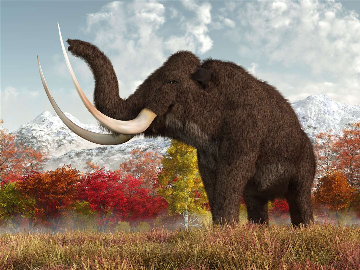 Analysis of woolly mammoth tusks revealed surging testosterone levels in males (Alamy/PA)