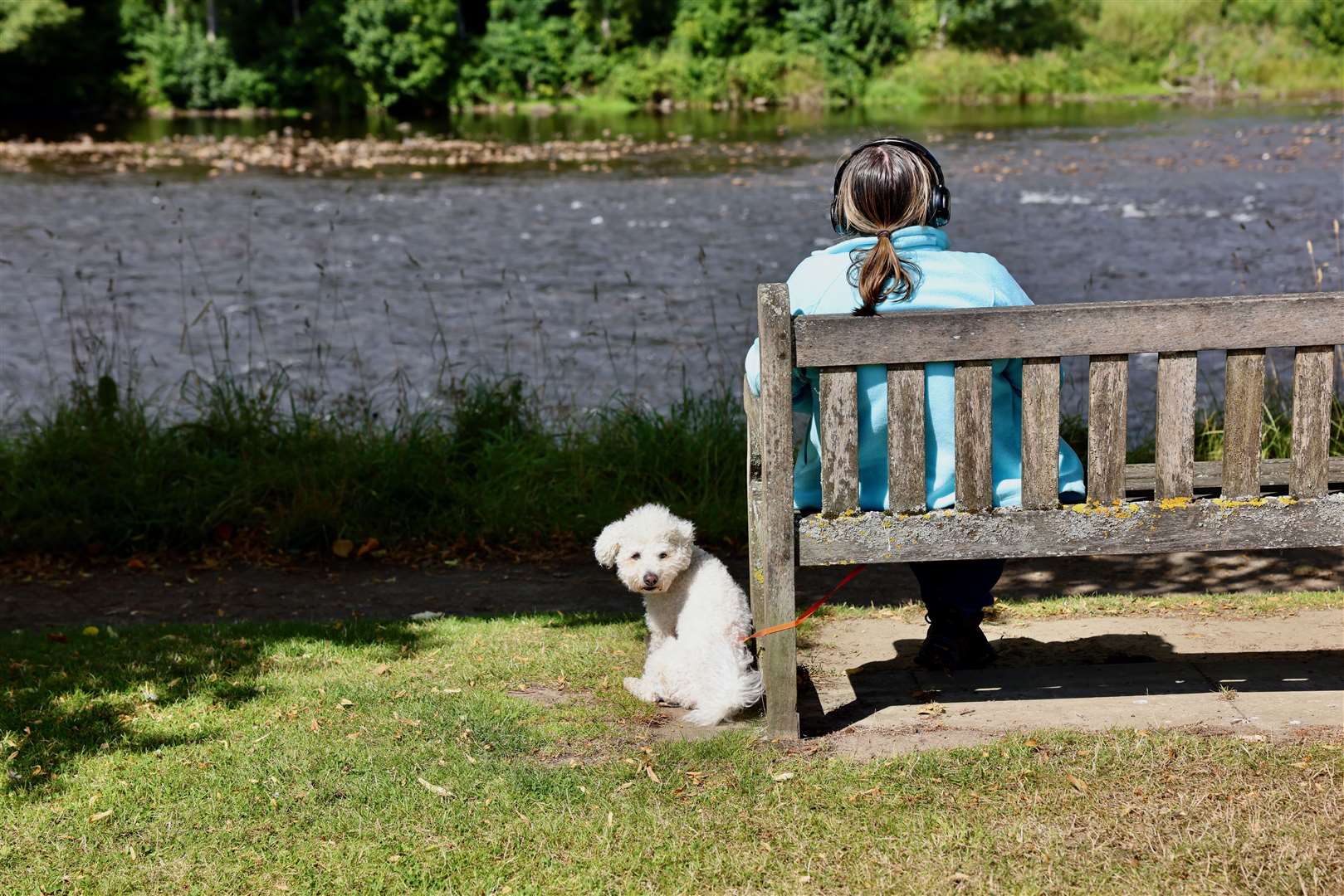 This little dog waits patiently while its owner listens. All pictures: Graeme Roger (Wildbird)