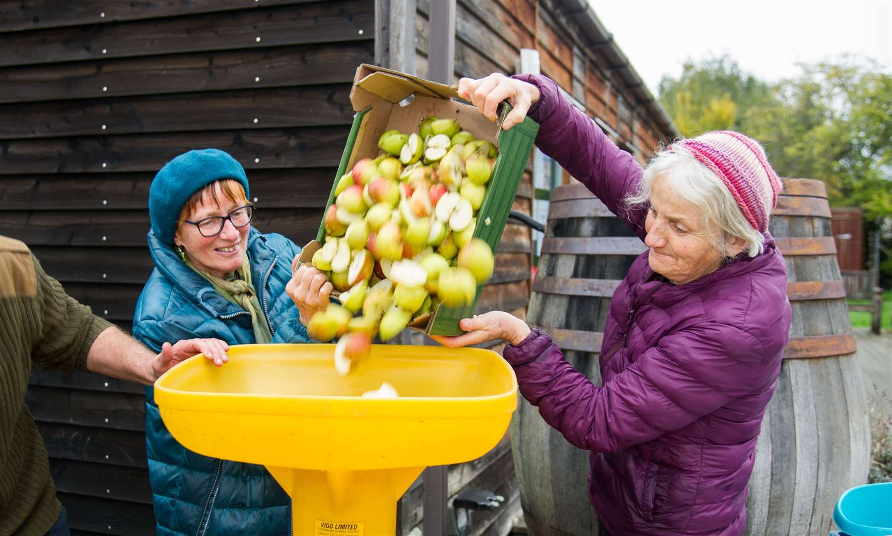 Greta Bergman and Daphne Francis pouring apples into a shredder.