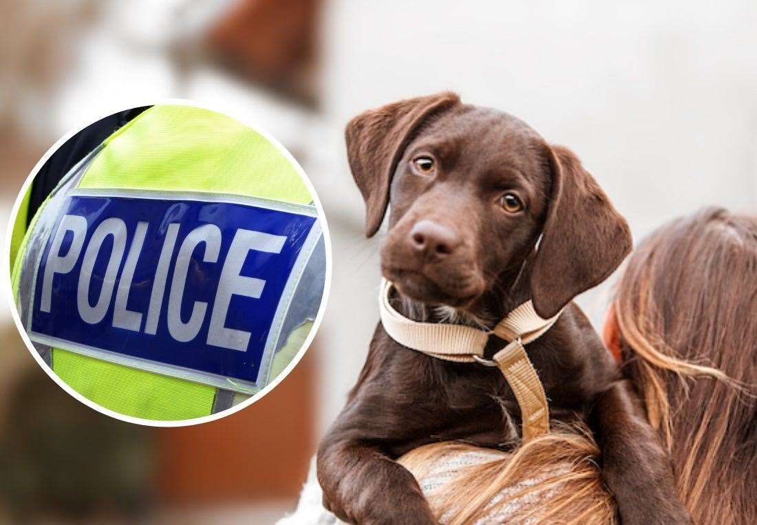 Police are urging the public to watch out for online pet scams.