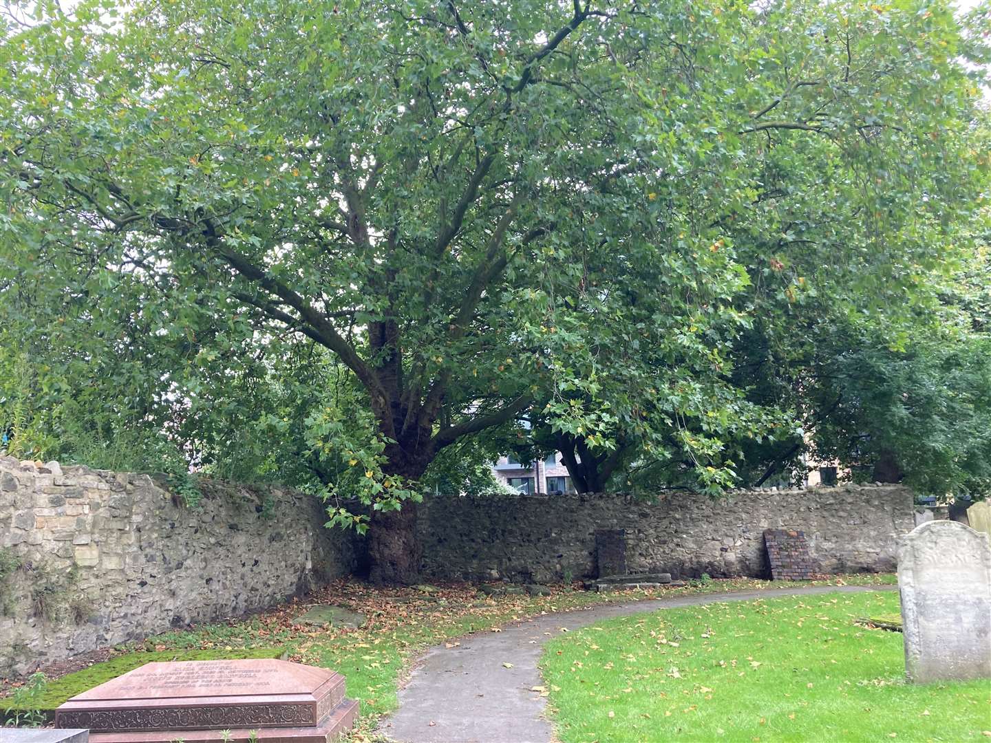 A corner of St Margaret’s Churchyard in Barking, east London, where Gabriel Kovari and Daniel Whitworth were found (Emily Pennink/PA)