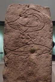 A stone incised with a goose and a salmon on one side was discovered in 1894 by a farmer ploughing fields at Easterton farm near Roseisle. It is now on display in the National Museum of Scotland in Edinburgh. It formed the west side of a burial cist, and the carving is believed to date to the 5th/6th centuries AD, suggesting that our local ancestors revered the creatures.