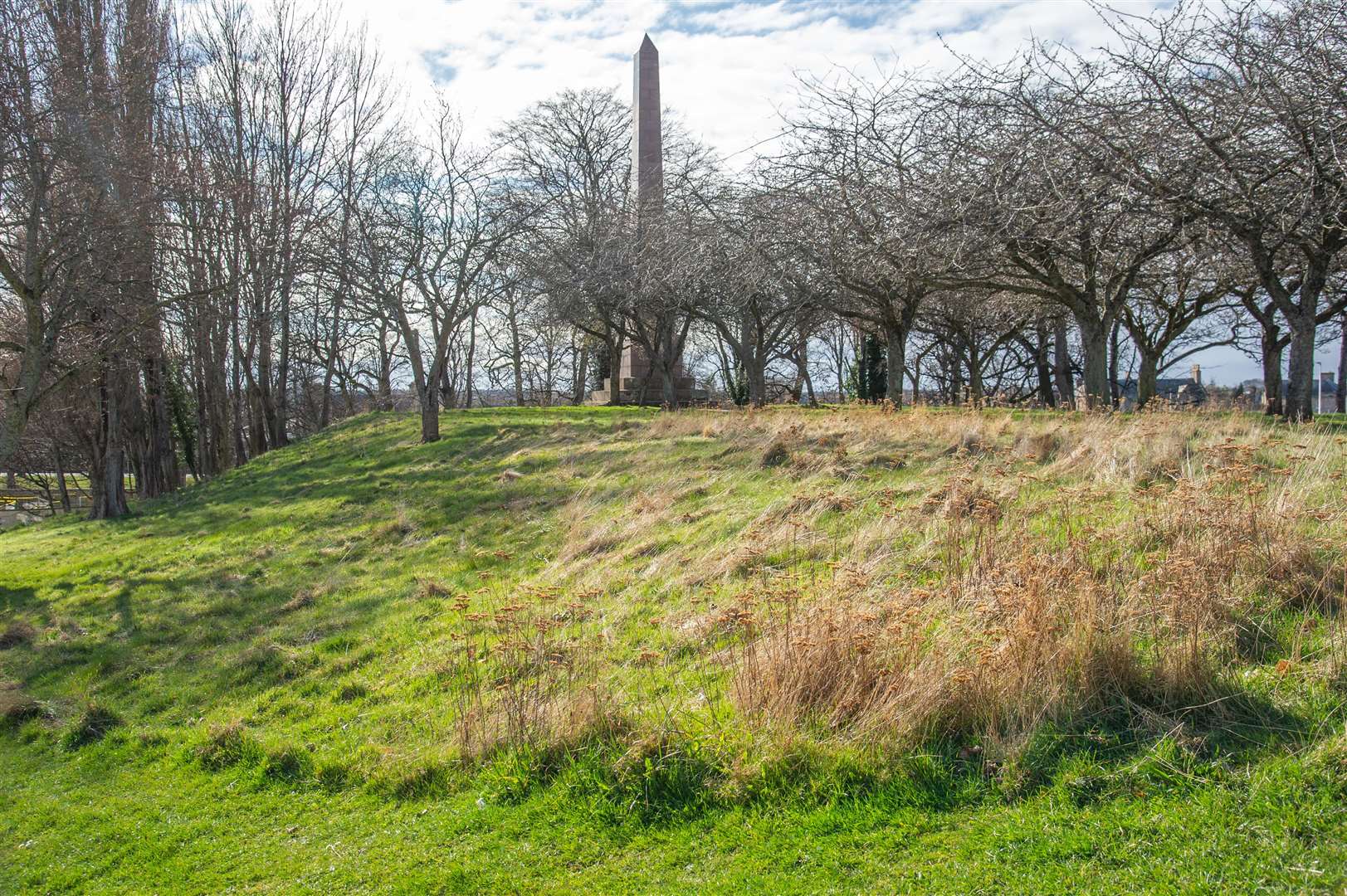 The Thomson Memorial, AKA The Needle, is another existing wildflower site.
