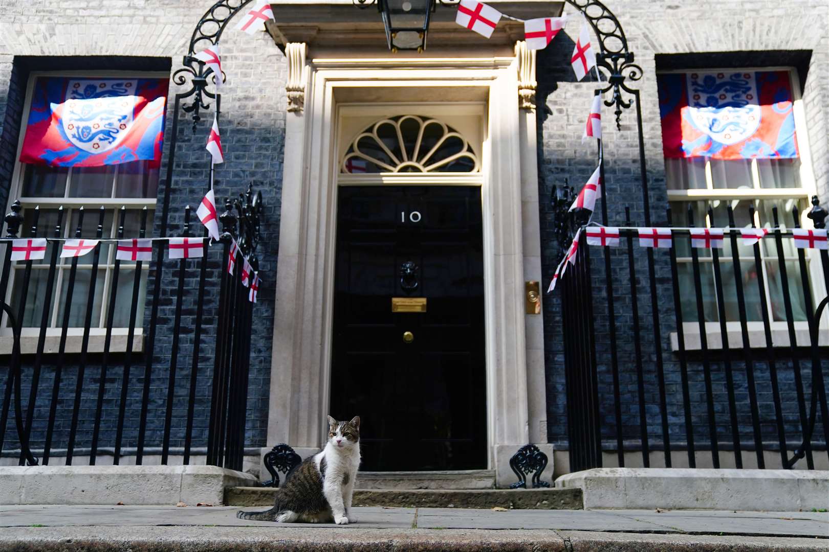 Larry the cat outside 10 Downing Street, which has been adorned with England flags and bunting (Victoria Jones/PA)