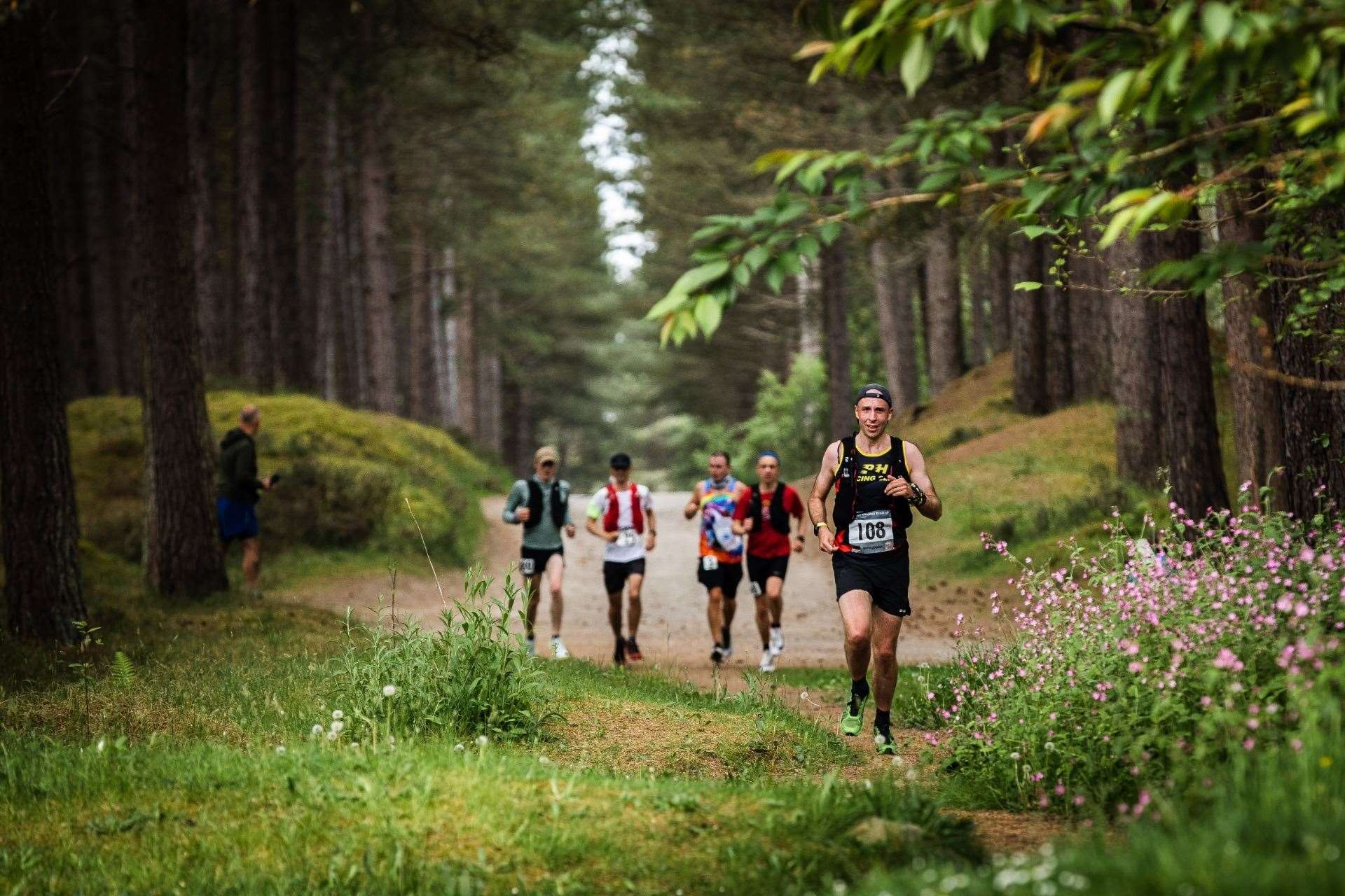 The Moray Coastal Trail 50 makes its way through the forest.