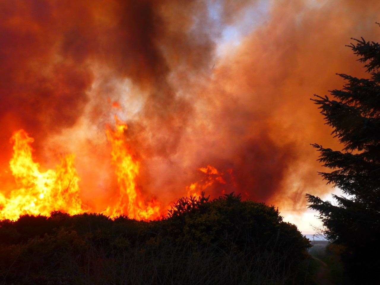 A gorse fire at Hopeman Beach in 2018 took more than 30 firefighters over eight hours to contain and extinguish the blaze.