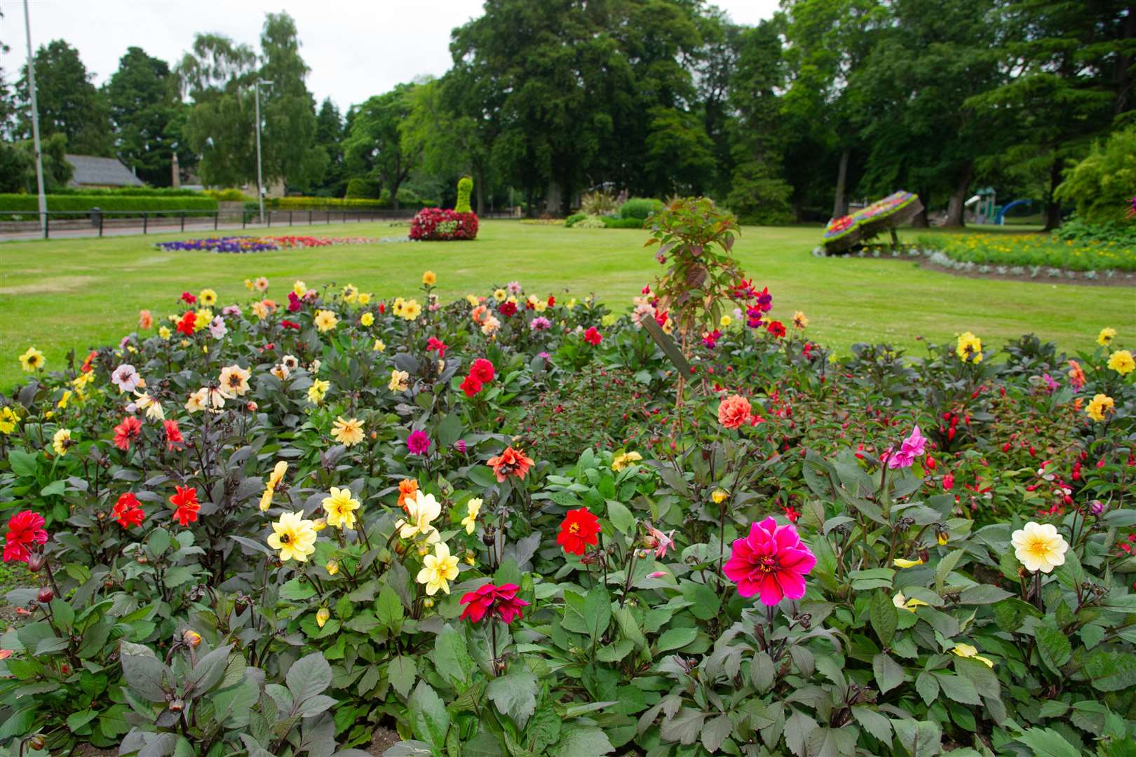 One of the many flower beds that bring colour to Forres.