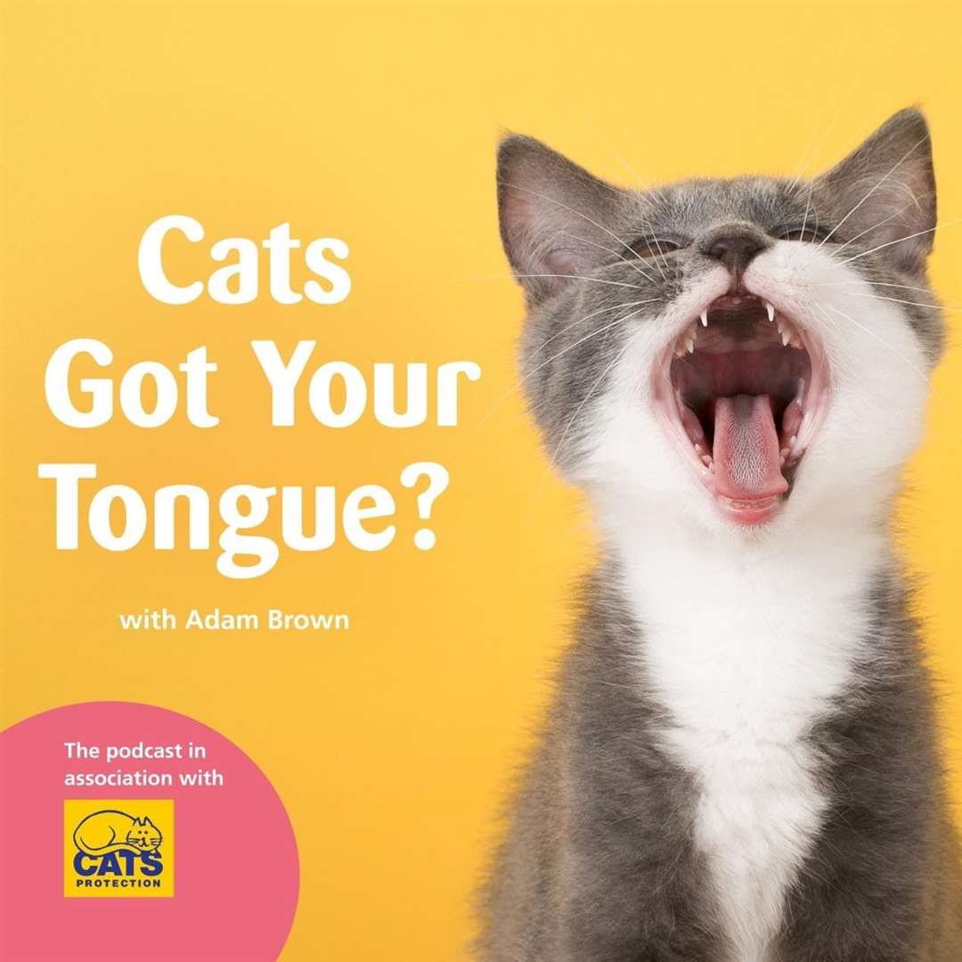 Cats Protection's new podcast Cat's Got Your Tongue is set to launch at the beginning of November.