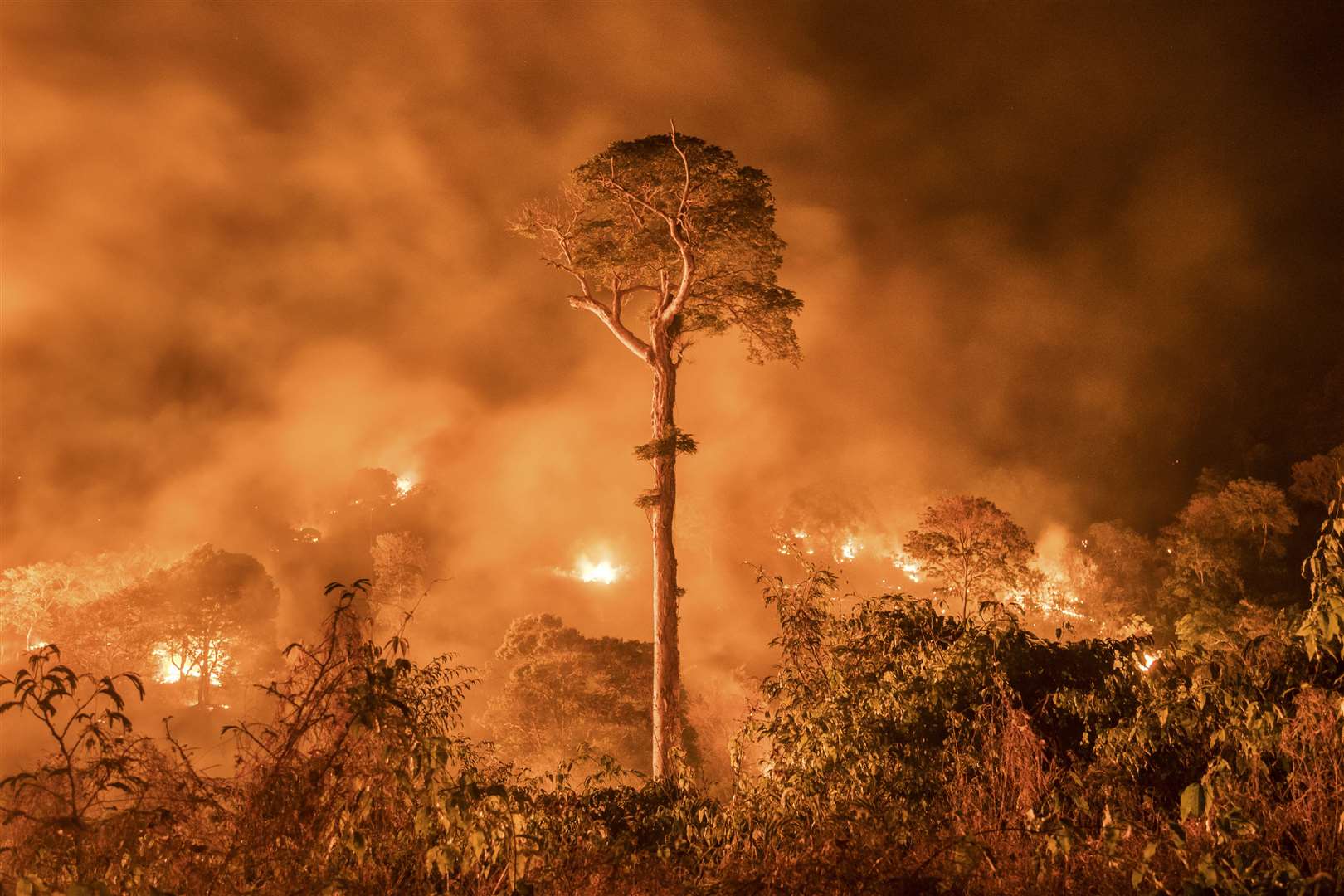 Amazon burning by Charlie Hamilton James (Charlie Hamilton James/Wildlife Photographer of the Year)