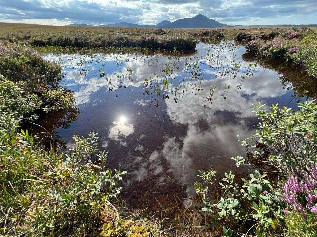 Bog pools in the Flow Country, northern Scotland, where scientists are monitoring the health of Europe’s biggest blanket bog.