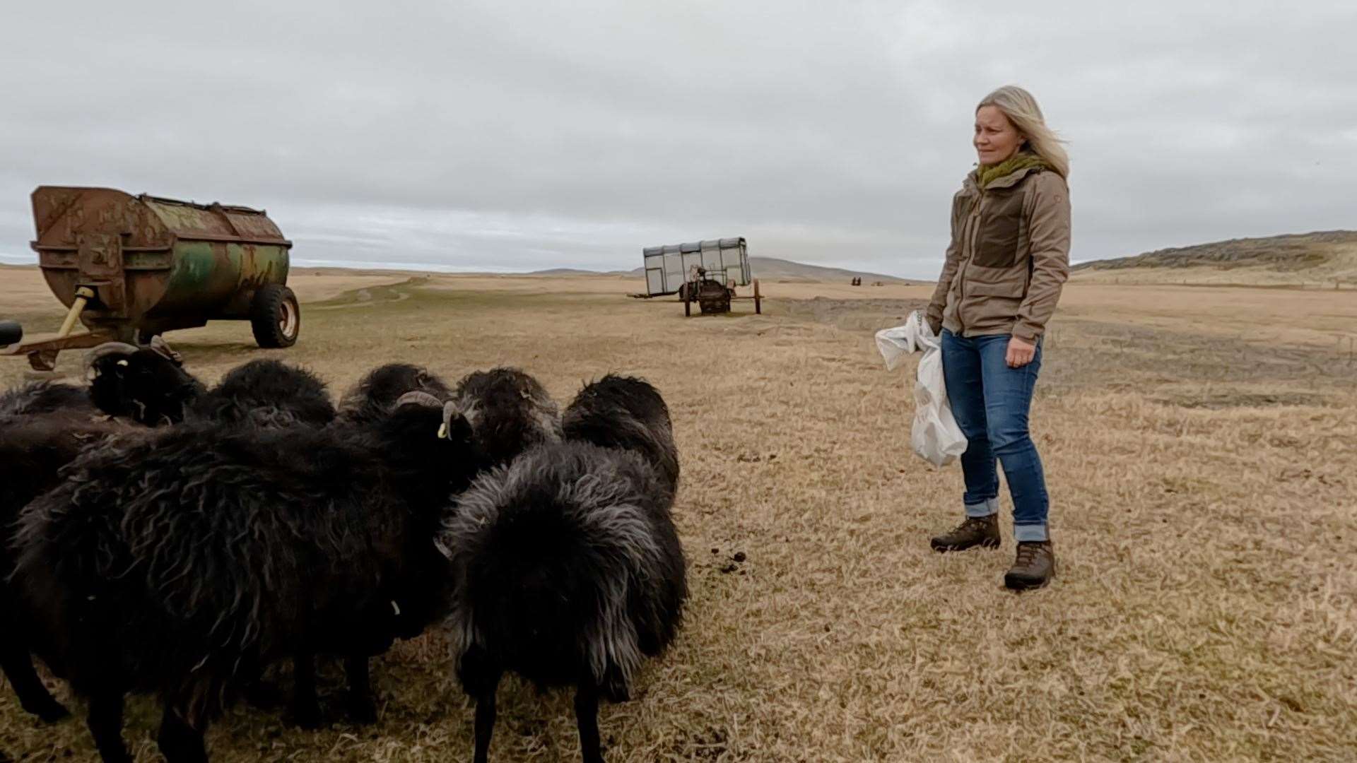 Meg Rodger with her Hebridean flock on Berneray.