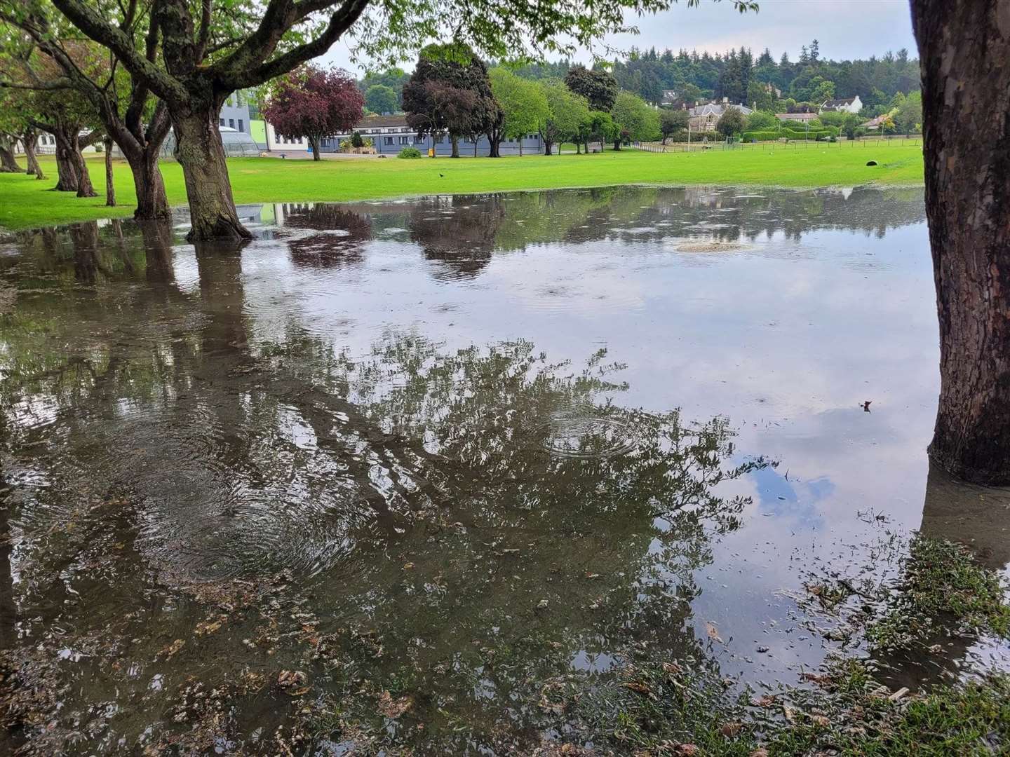 Sewage on Applegrove Primary School's playing fields following a recent flash flood.