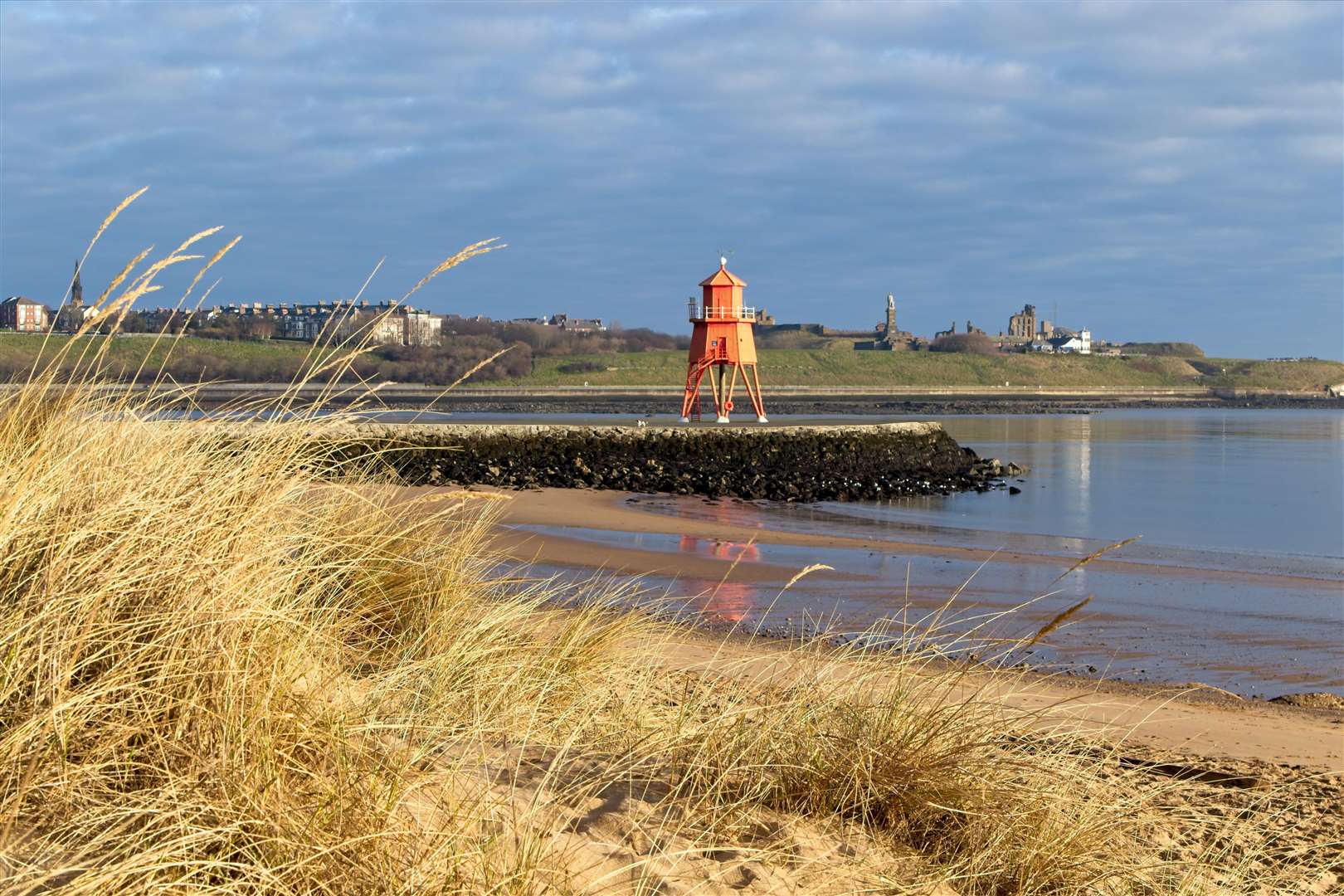 Littlehaven Beach in Tyne and Wear is one of the proposed sites (Alamy/PA)